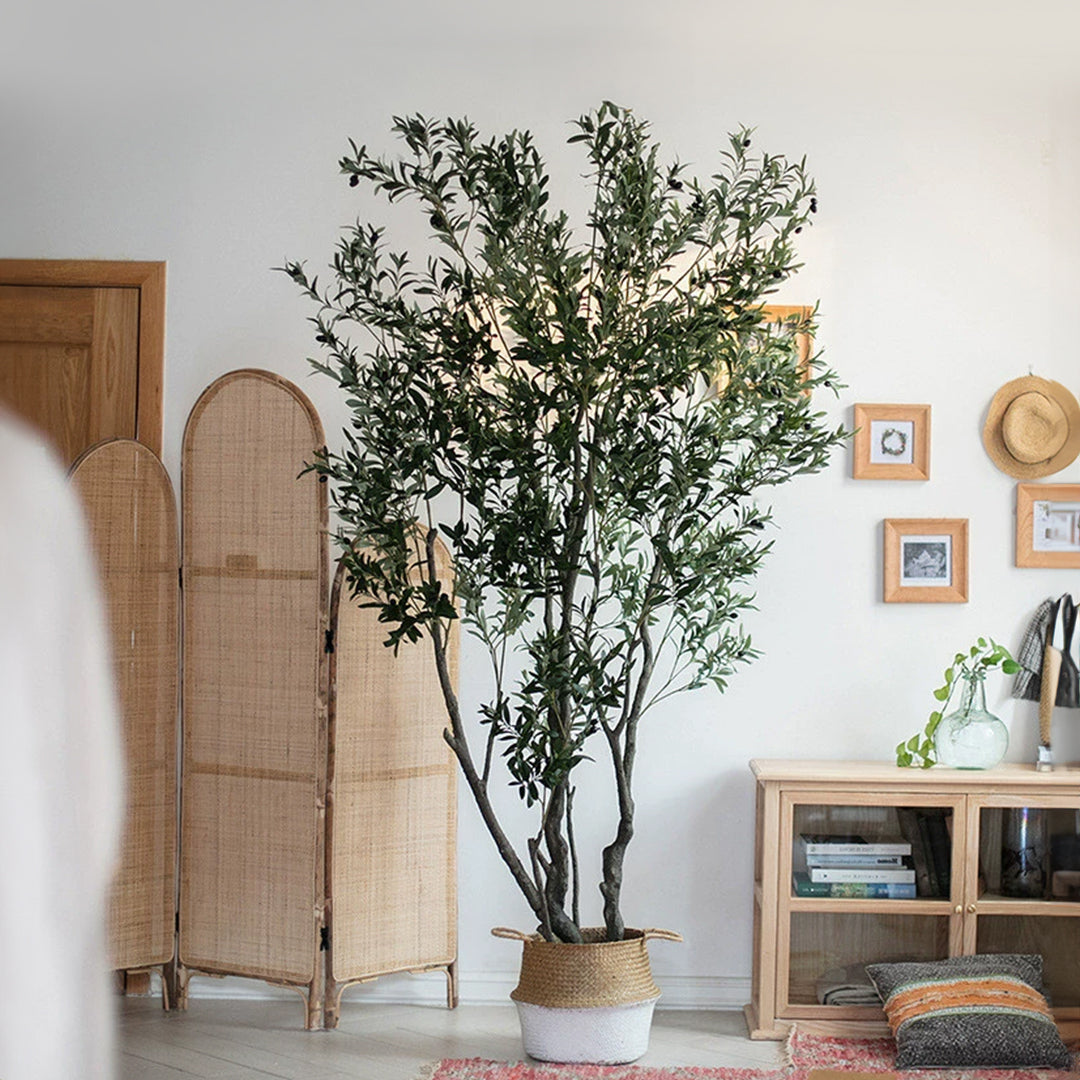 Simulated Olive Tree CT02-Olive - Plants - ebarza Furniture UAE | Shop Modern Furniture in Abu Dhabi & Dubai - مفروشات ايبازرا في الامارات | تسوق اثاث عصري وديكورات مميزة في دبي وابوظبي