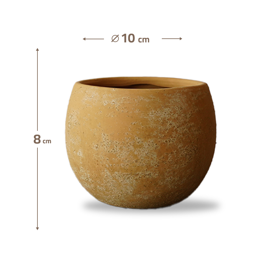 Terracotta Groove Outdoor/Indoor Planter Box WSCL 8085F-5 - Planter Boxes - ebarza Furniture UAE | Shop Modern Furniture in Abu Dhabi & Dubai - مفروشات ايبازرا في الامارات | تسوق اثاث عصري وديكورات مميزة في دبي وابوظبي