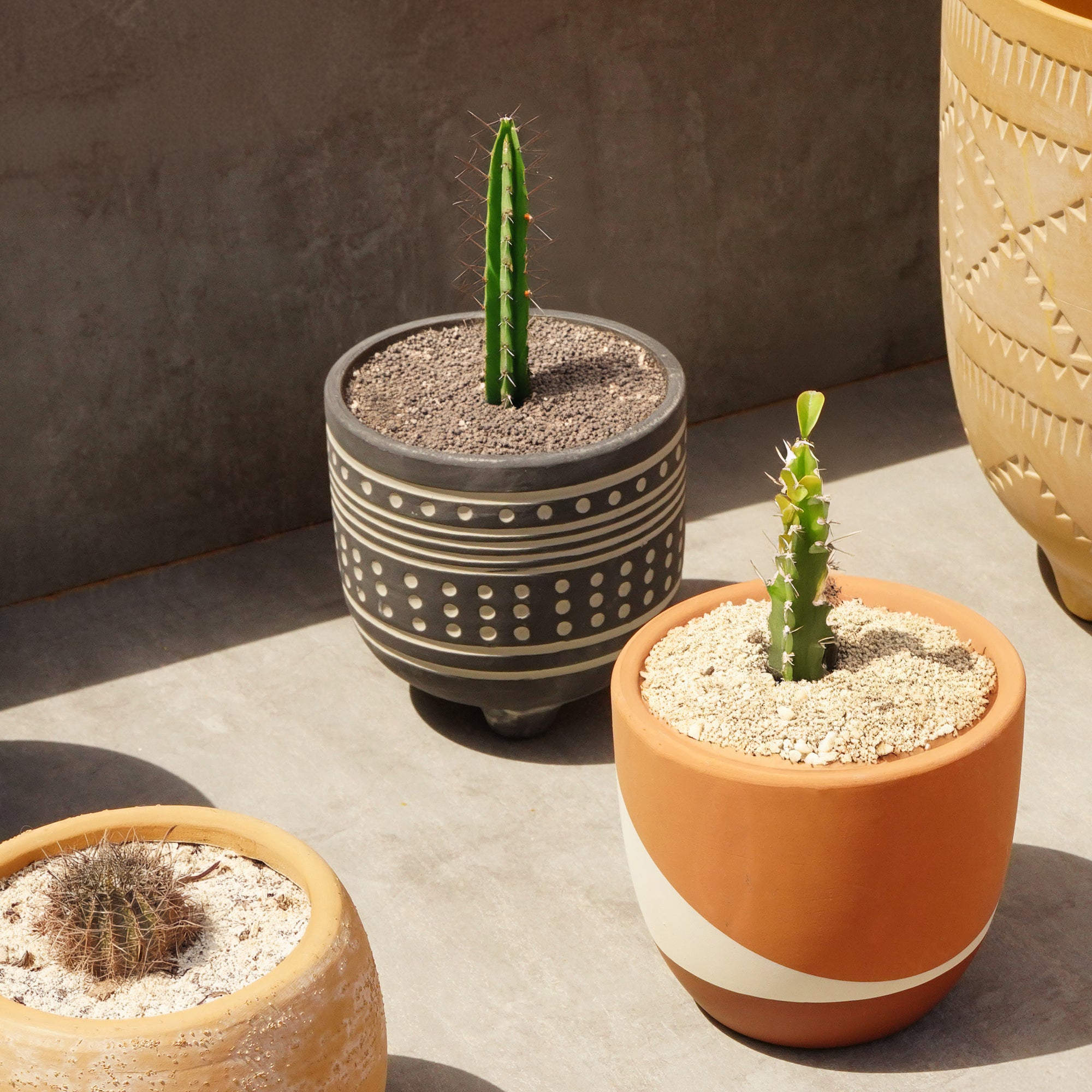 Polka Dot Outdoor/Indoor Planter Box ATBK 8072G-188 - Planter Boxes - ebarza Furniture UAE | Shop Modern Furniture in Abu Dhabi & Dubai - مفروشات ايبازرا في الامارات | تسوق اثاث عصري وديكورات مميزة في دبي وابوظبي