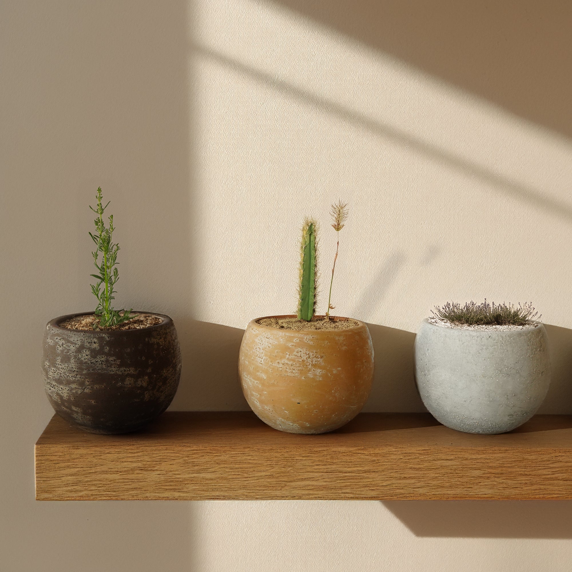 Cloud White Bud Outdoor/Indoor Planter Box WH 8085F-5 - Planter Boxes - ebarza Furniture UAE | Shop Modern Furniture in Abu Dhabi & Dubai - مفروشات ايبازرا في الامارات | تسوق اثاث عصري وديكورات مميزة في دبي وابوظبي