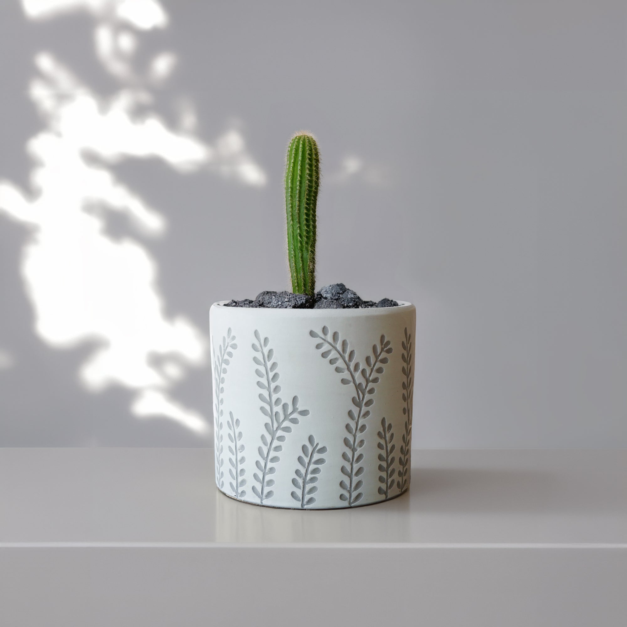 Leafy Branch Outdoor/Indoor Planter Box WHGY 8064B-163WHGY - Planter Boxes - ebarza Furniture UAE | Shop Modern Furniture in Abu Dhabi & Dubai - مفروشات ايبازرا في الامارات | تسوق اثاث عصري وديكورات مميزة في دبي وابوظبي