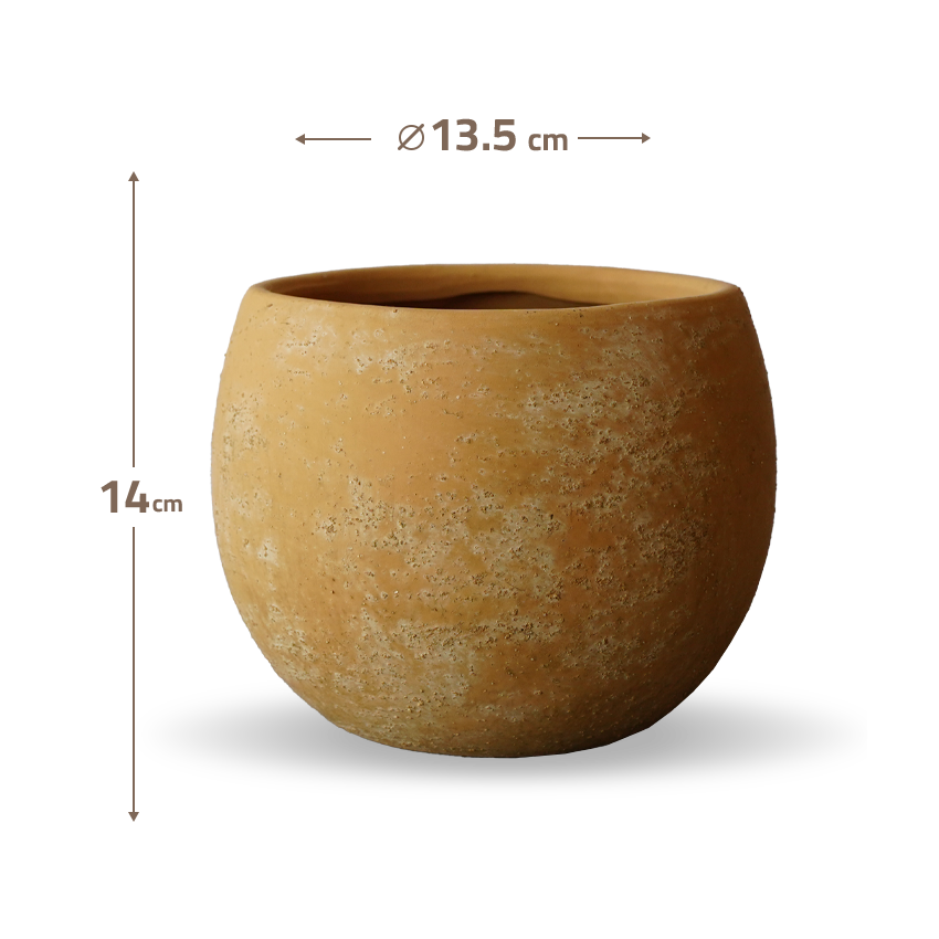 Matte Mocha Outdoor/Indoor Planter Box WSCL 8085E-5 - Planter Boxes - ebarza Furniture UAE | Shop Modern Furniture in Abu Dhabi & Dubai - مفروشات ايبازرا في الامارات | تسوق اثاث عصري وديكورات مميزة في دبي وابوظبي