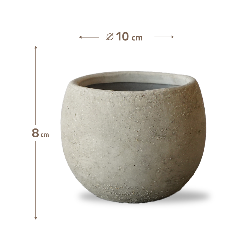 Cloud White Bud Outdoor/Indoor Planter Box WH 8085F-5 - Planter Boxes - ebarza Furniture UAE | Shop Modern Furniture in Abu Dhabi & Dubai - مفروشات ايبازرا في الامارات | تسوق اثاث عصري وديكورات مميزة في دبي وابوظبي