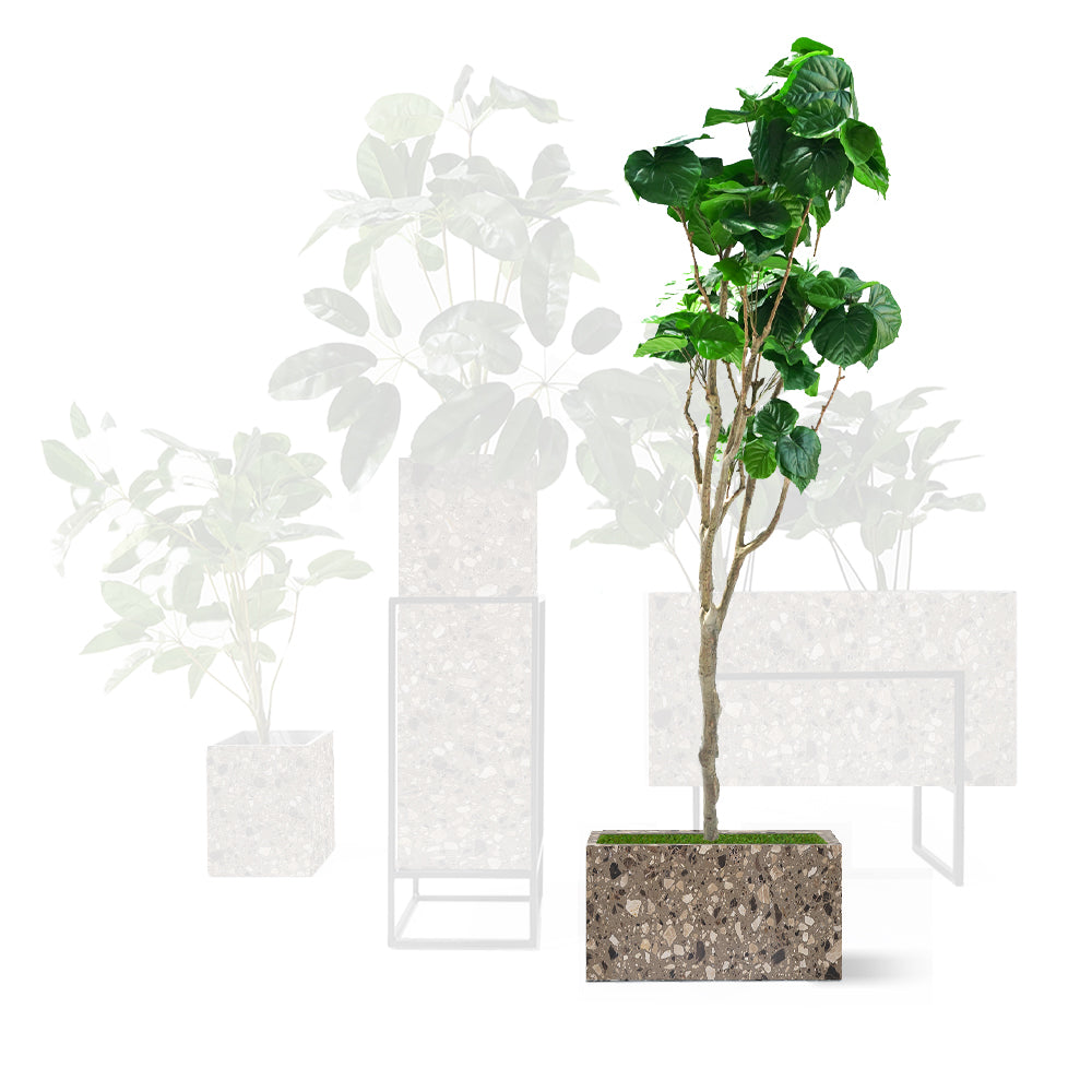 Terrazzo Brown Planter Box 306-N0272 - Planter Boxes - ebarza Furniture UAE | Shop Modern Furniture in Abu Dhabi & Dubai - مفروشات ايبازرا في الامارات | تسوق اثاث عصري وديكورات مميزة في دبي وابوظبي