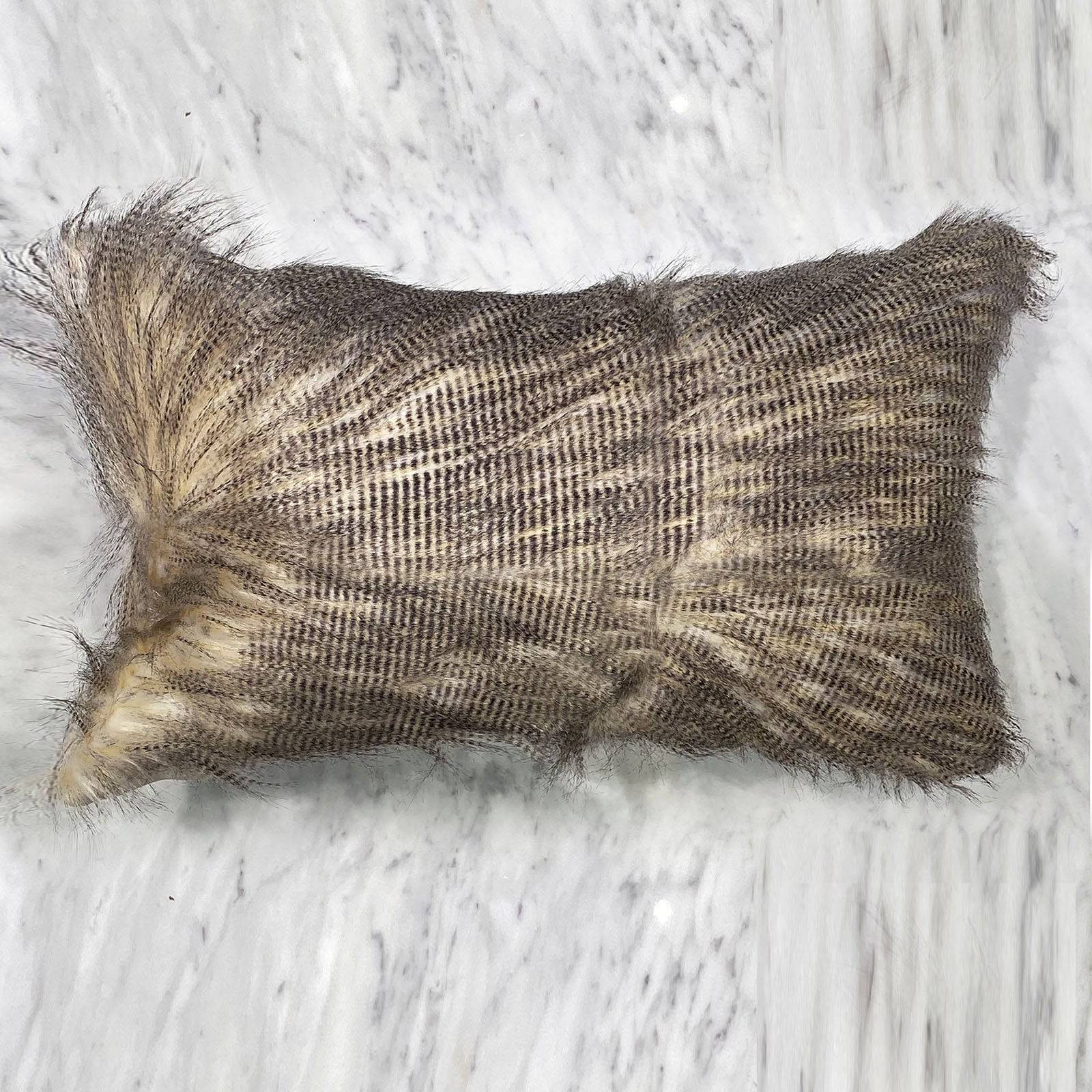 30X60 Cm Cushion Cover 2151-004 - Cushions - ebarza Furniture UAE | Shop Modern Furniture in Abu Dhabi & Dubai - مفروشات ايبازرا في الامارات | تسوق اثاث عصري وديكورات مميزة في دبي وابوظبي