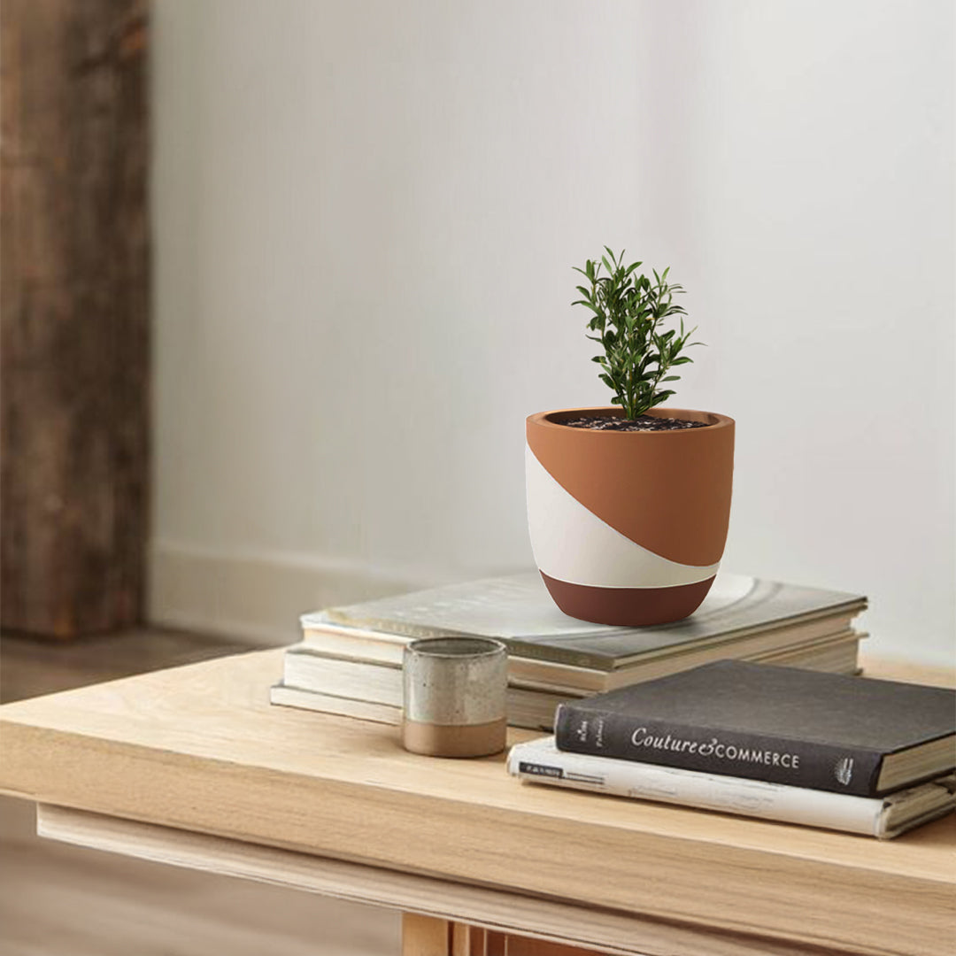 Terracotta Dream Outdoor/Indoor Planter Box TEWHBR 8079I-4 - Planter Boxes - ebarza Furniture UAE | Shop Modern Furniture in Abu Dhabi & Dubai - مفروشات ايبازرا في الامارات | تسوق اثاث عصري وديكورات مميزة في دبي وابوظبي