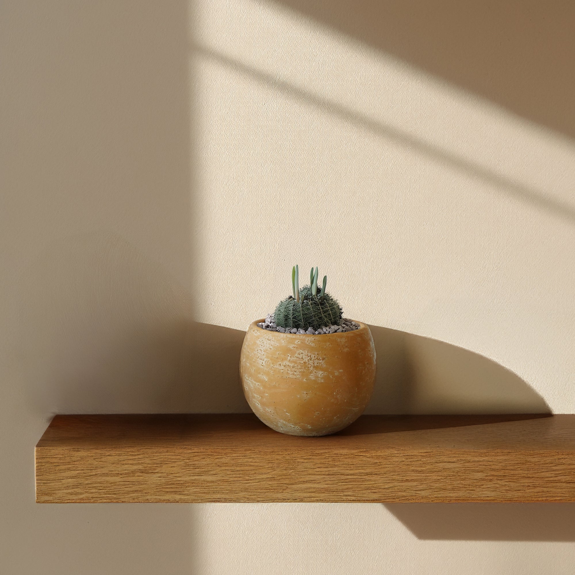 Terracotta Groove Outdoor/Indoor Planter Box WSCL 8085F-5 - Planter Boxes - ebarza Furniture UAE | Shop Modern Furniture in Abu Dhabi & Dubai - مفروشات ايبازرا في الامارات | تسوق اثاث عصري وديكورات مميزة في دبي وابوظبي