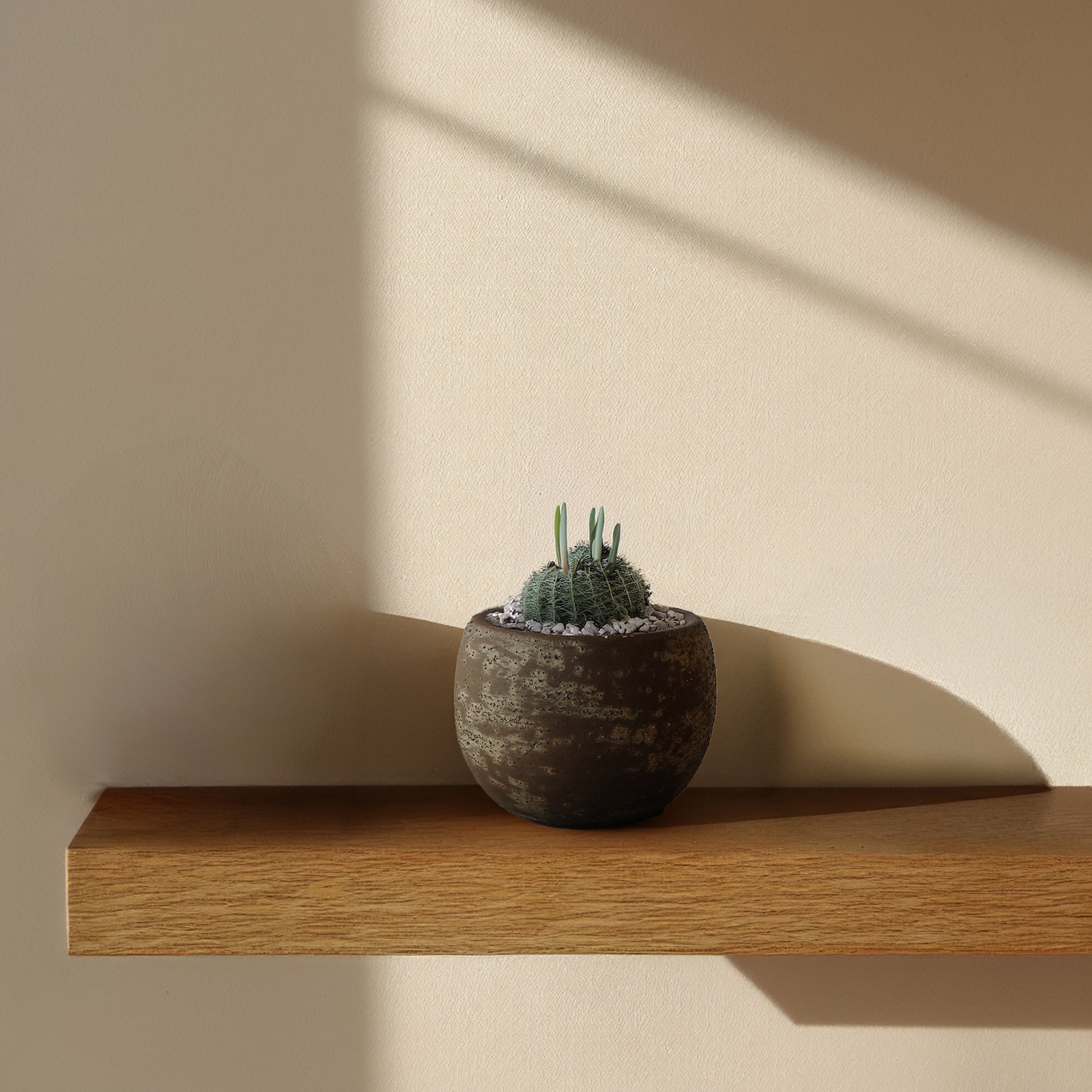 Rocky Ridge Outdoor/Indoor Planter Box WSCF 8085F-5 - Planter Boxes - ebarza Furniture UAE | Shop Modern Furniture in Abu Dhabi & Dubai - مفروشات ايبازرا في الامارات | تسوق اثاث عصري وديكورات مميزة في دبي وابوظبي