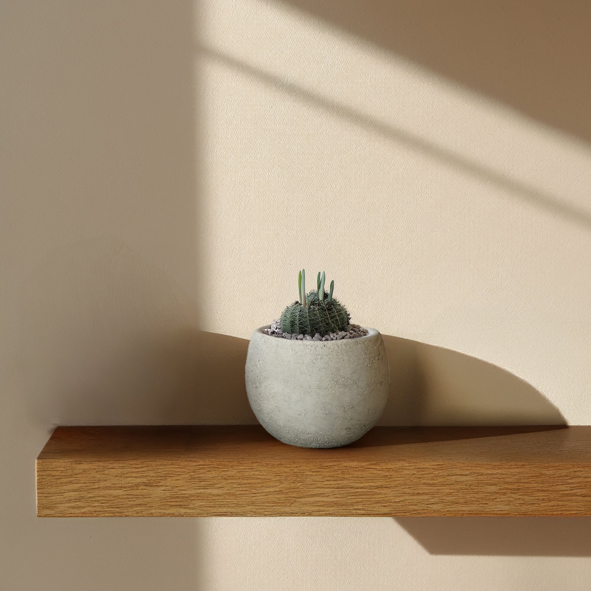 Cloud White Bud Outdoor/Indoor Planter Box WH 8085F-5 - Planter Boxes - ebarza Furniture UAE | Shop Modern Furniture in Abu Dhabi & Dubai - مفروشات ايبازرا في الامارات | تسوق اثاث عصري وديكورات مميزة في دبي وابوظبي