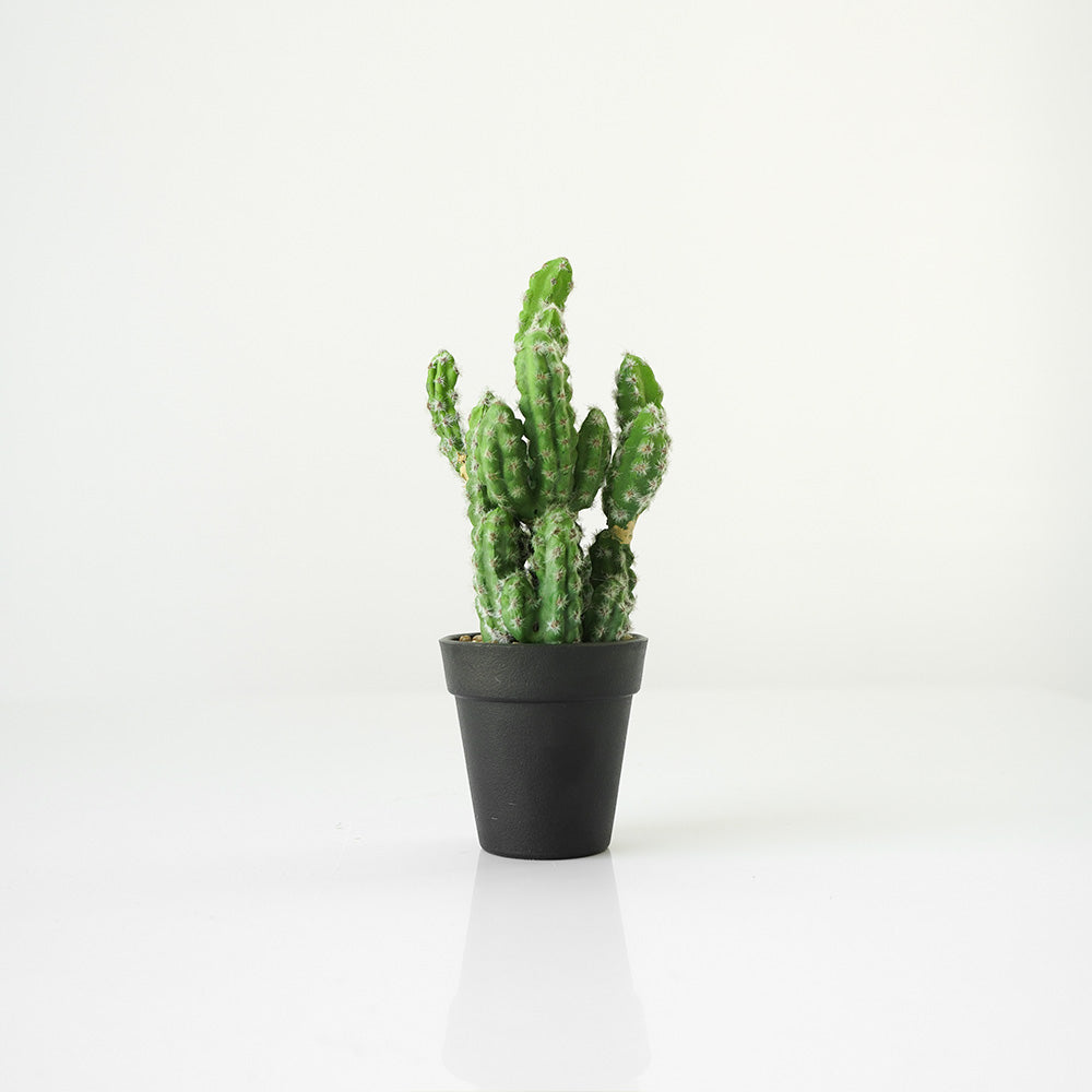 Handmade Decorative Artificial Potted Cactus N35020-SM124 - Plants - ebarza Furniture UAE | Shop Modern Furniture in Abu Dhabi & Dubai - مفروشات ايبازرا في الامارات | تسوق اثاث عصري وديكورات مميزة في دبي وابوظبي