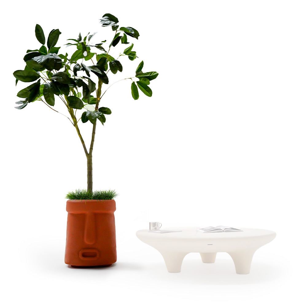 Indoor/Outdoor Clay Planter Box XK-6048C-Clay - Planter Boxes - ebarza Furniture UAE | Shop Modern Furniture in Abu Dhabi & Dubai - مفروشات ايبازرا في الامارات | تسوق اثاث عصري وديكورات مميزة في دبي وابوظبي