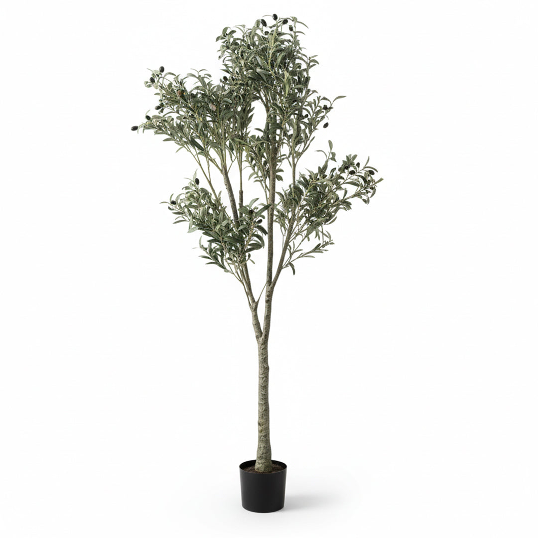 Artificial Olive Tree Olive-2 Tree FHS-Tree02 - Plants - ebarza Furniture UAE | Shop Modern Furniture in Abu Dhabi & Dubai - مفروشات ايبازرا في الامارات | تسوق اثاث عصري وديكورات مميزة في دبي وابوظبي