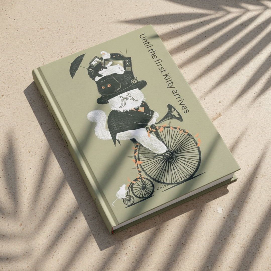 Pre-order 15 Days Delivery Until the first kitty arrives Decorative Book - FY-11