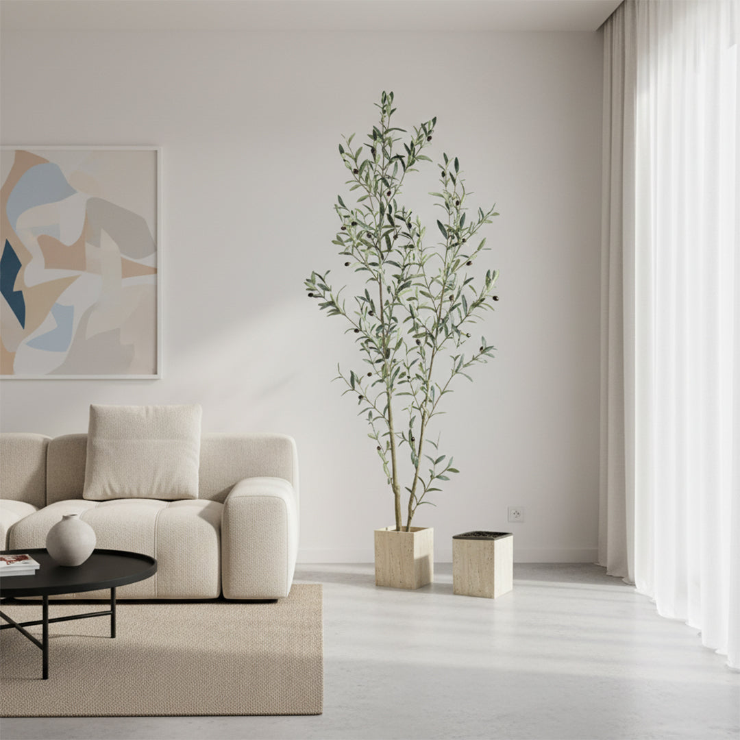 Pre-order 65 Days Delivery Olive Tree 180cm SIL-SOT-H180-GG - Plants - ebarza Furniture UAE | Shop Modern Furniture in Abu Dhabi & Dubai - مفروشات ايبازرا في الامارات | تسوق اثاث عصري وديكورات مميزة في دبي وابوظبي