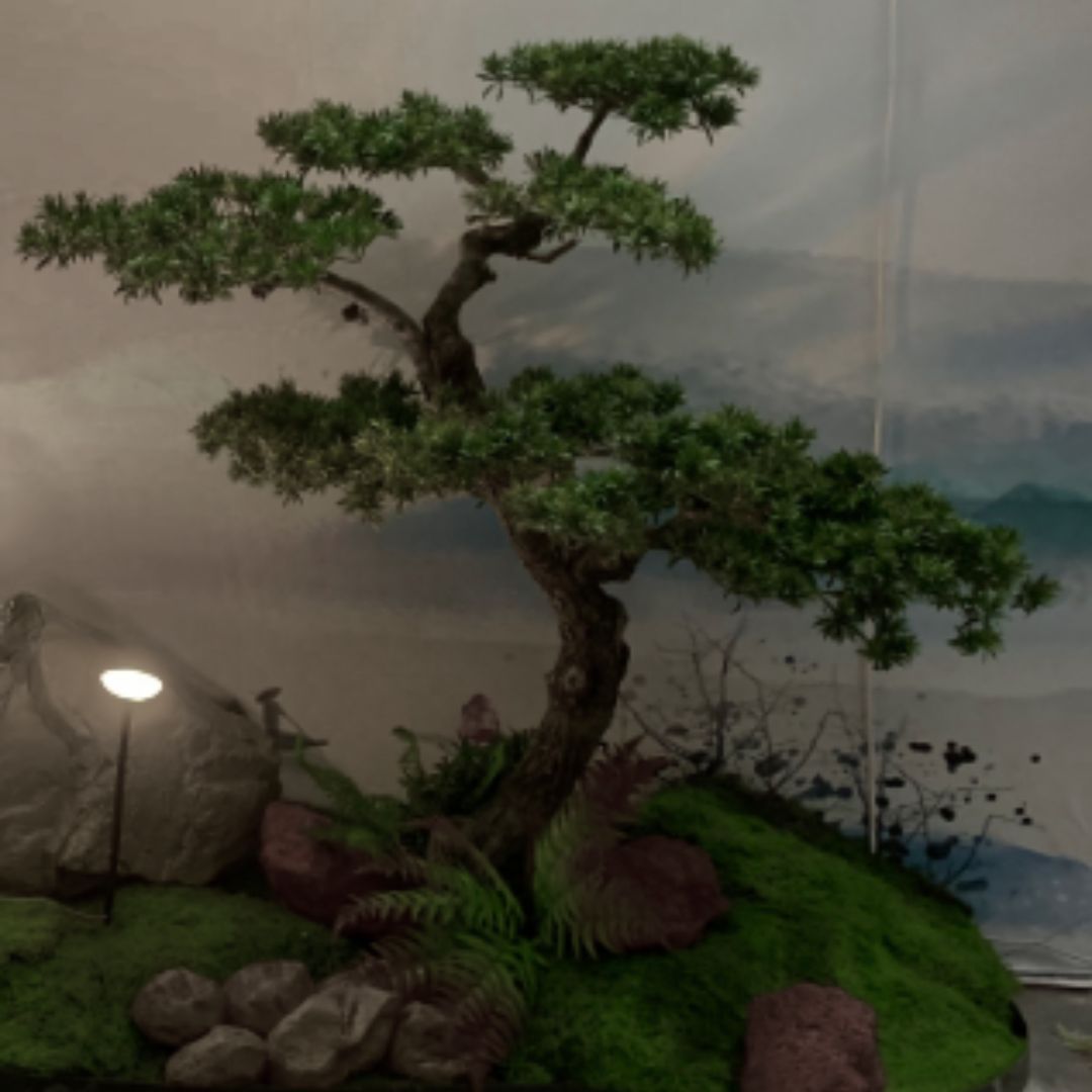 Artificial Podocarpus Tree FHS-PODO065 - Plants - ebarza Furniture UAE | Shop Modern Furniture in Abu Dhabi & Dubai - مفروشات ايبازرا في الامارات | تسوق اثاث عصري وديكورات مميزة في دبي وابوظبي