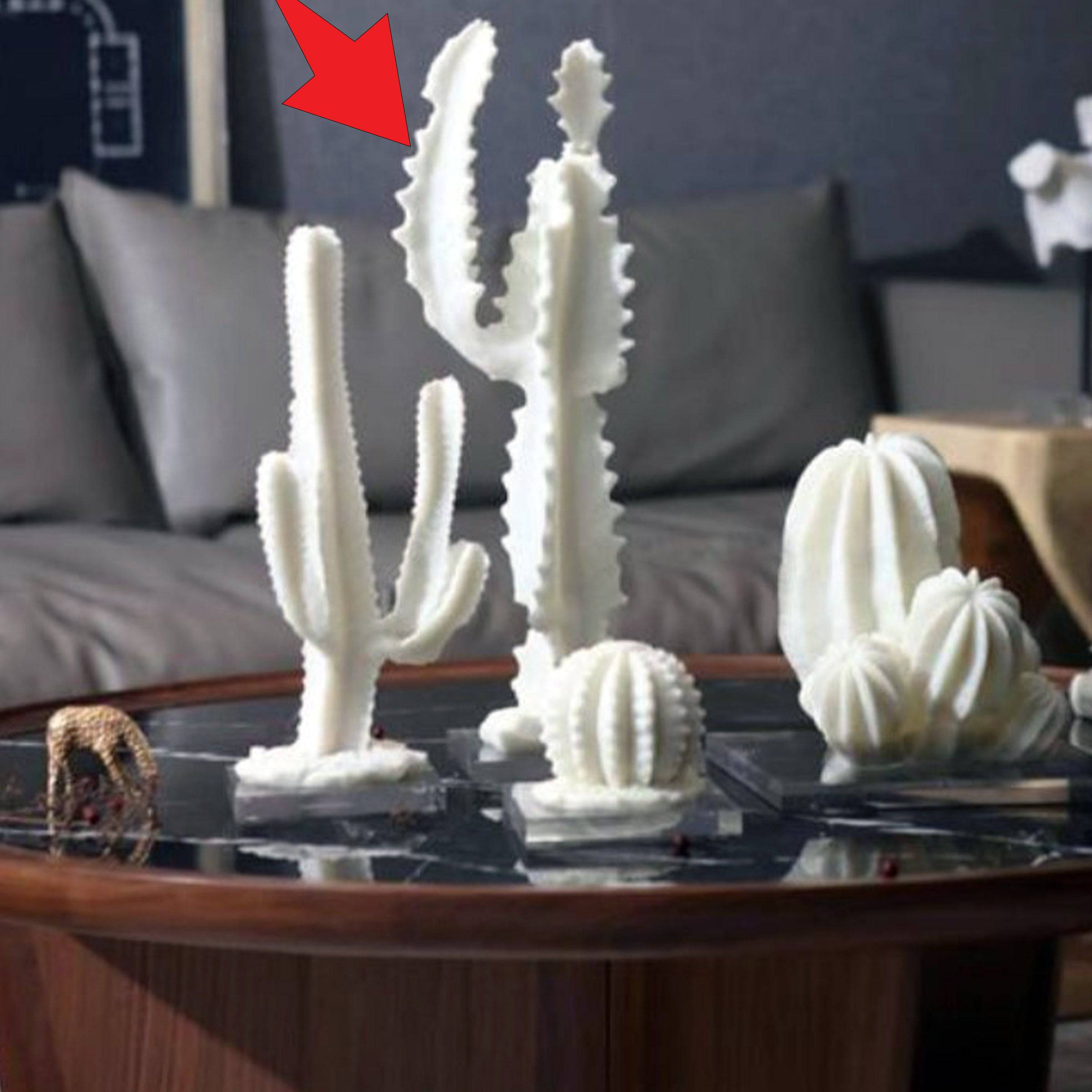 Cactus Décor Fa-Sz1811A - Home Decor Figurines - ebarza Furniture UAE | Shop Modern Furniture in Abu Dhabi & Dubai - مفروشات ايبازرا في الامارات | تسوق اثاث عصري وديكورات مميزة في دبي وابوظبي