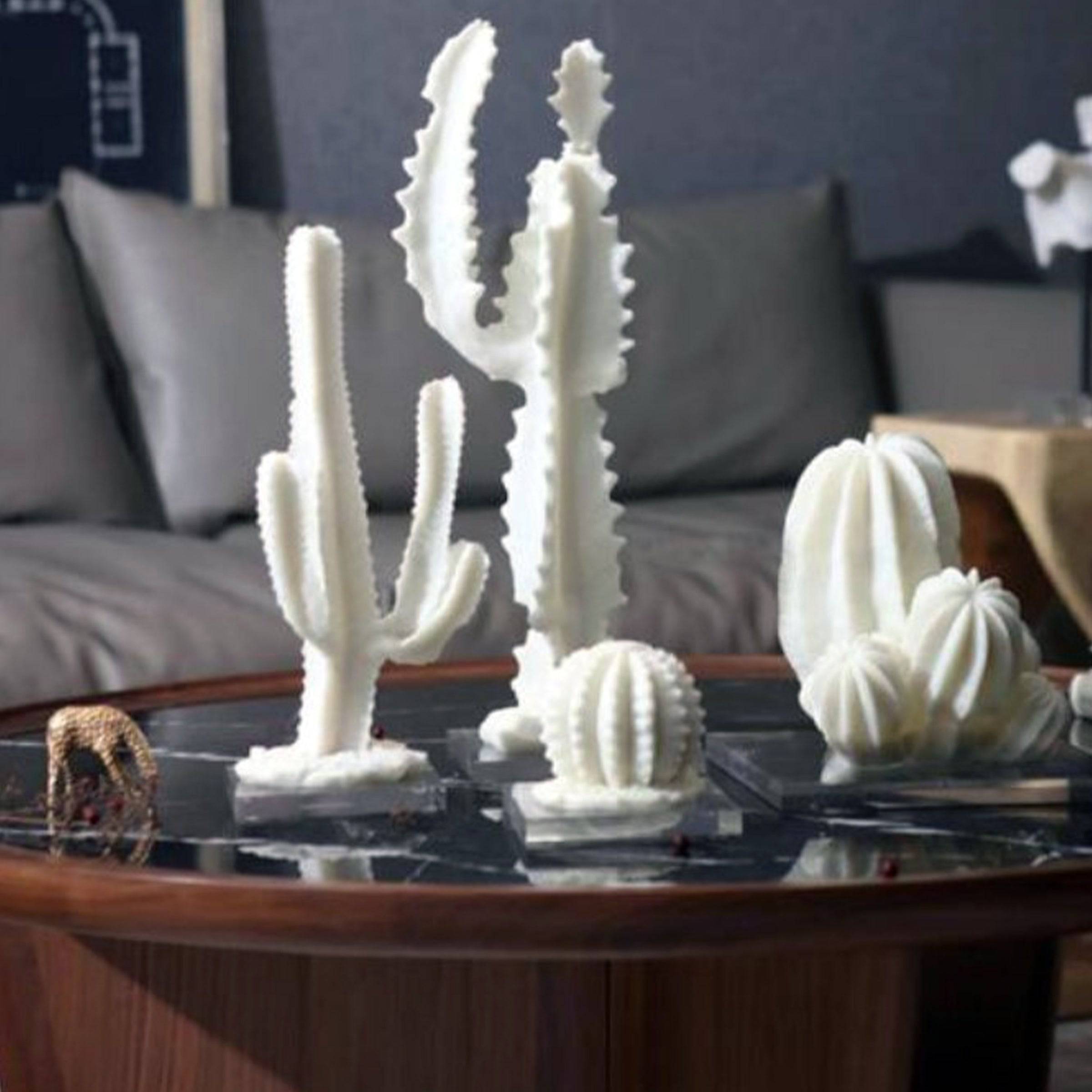 Cactus Décor Fa-Sz1811A - Home Decor Figurines - ebarza Furniture UAE | Shop Modern Furniture in Abu Dhabi & Dubai - مفروشات ايبازرا في الامارات | تسوق اثاث عصري وديكورات مميزة في دبي وابوظبي