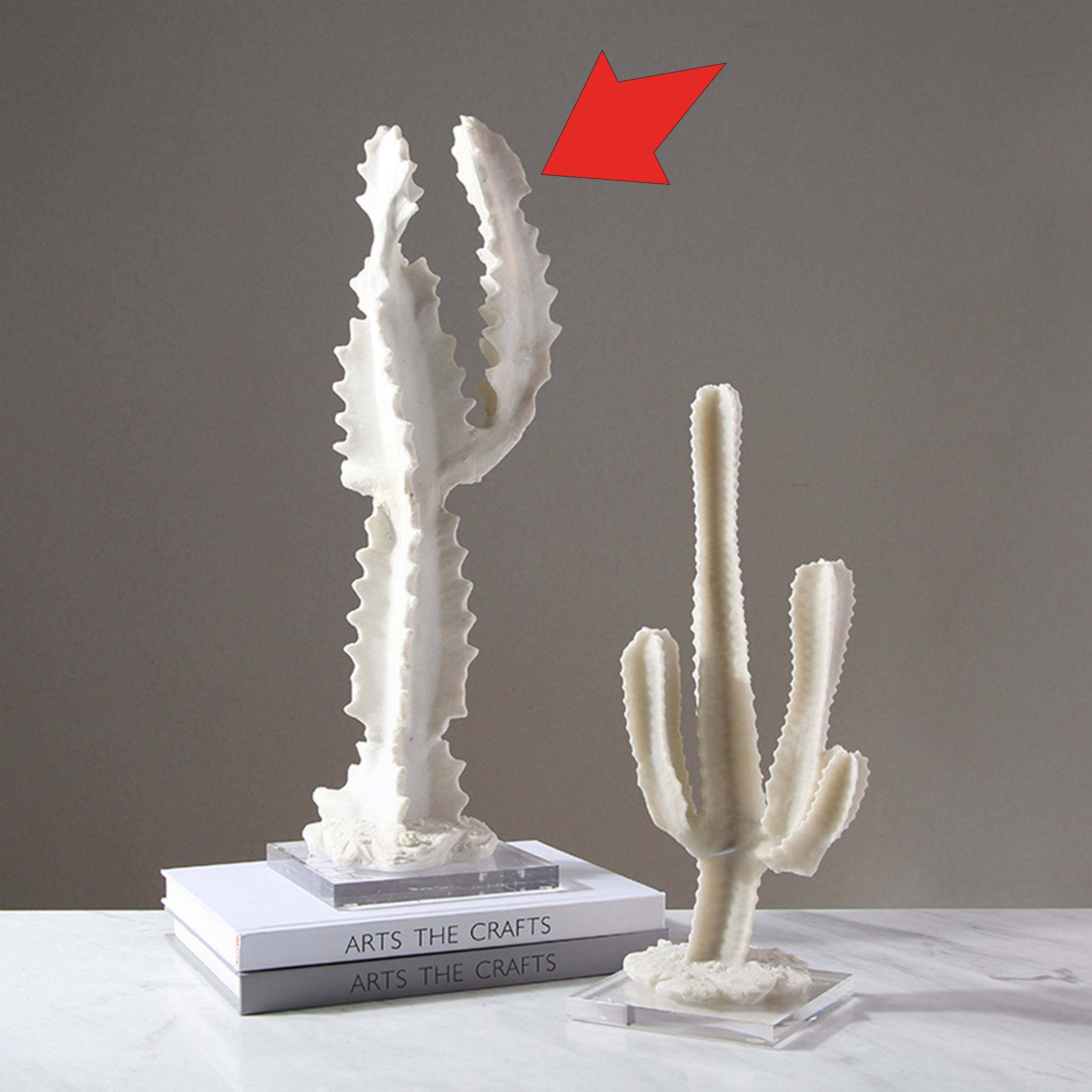 Cactus Décor Fa-Sz1811A - Home Decor Figurines - ebarza Furniture UAE | Shop Modern Furniture in Abu Dhabi & Dubai - مفروشات ايبازرا في الامارات | تسوق اثاث عصري وديكورات مميزة في دبي وابوظبي