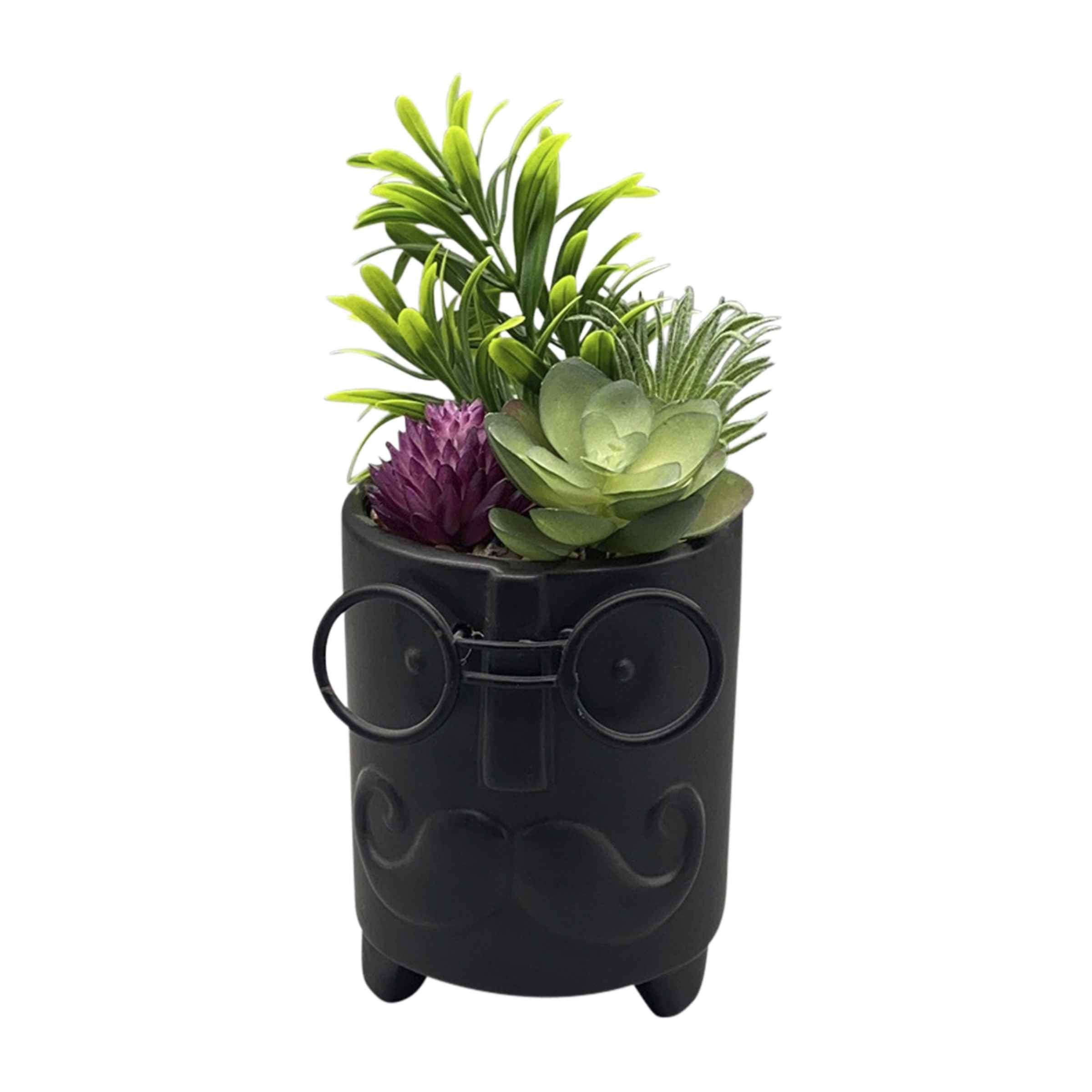Face Ceramic Planter With Artificial Plants 8.89 Cm - Black 16972-02 - Planter Boxes - ebarza Furniture UAE | Shop Modern Furniture in Abu Dhabi & Dubai - مفروشات ايبازرا في الامارات | تسوق اثاث عصري وديكورات مميزة في دبي وابوظبي
