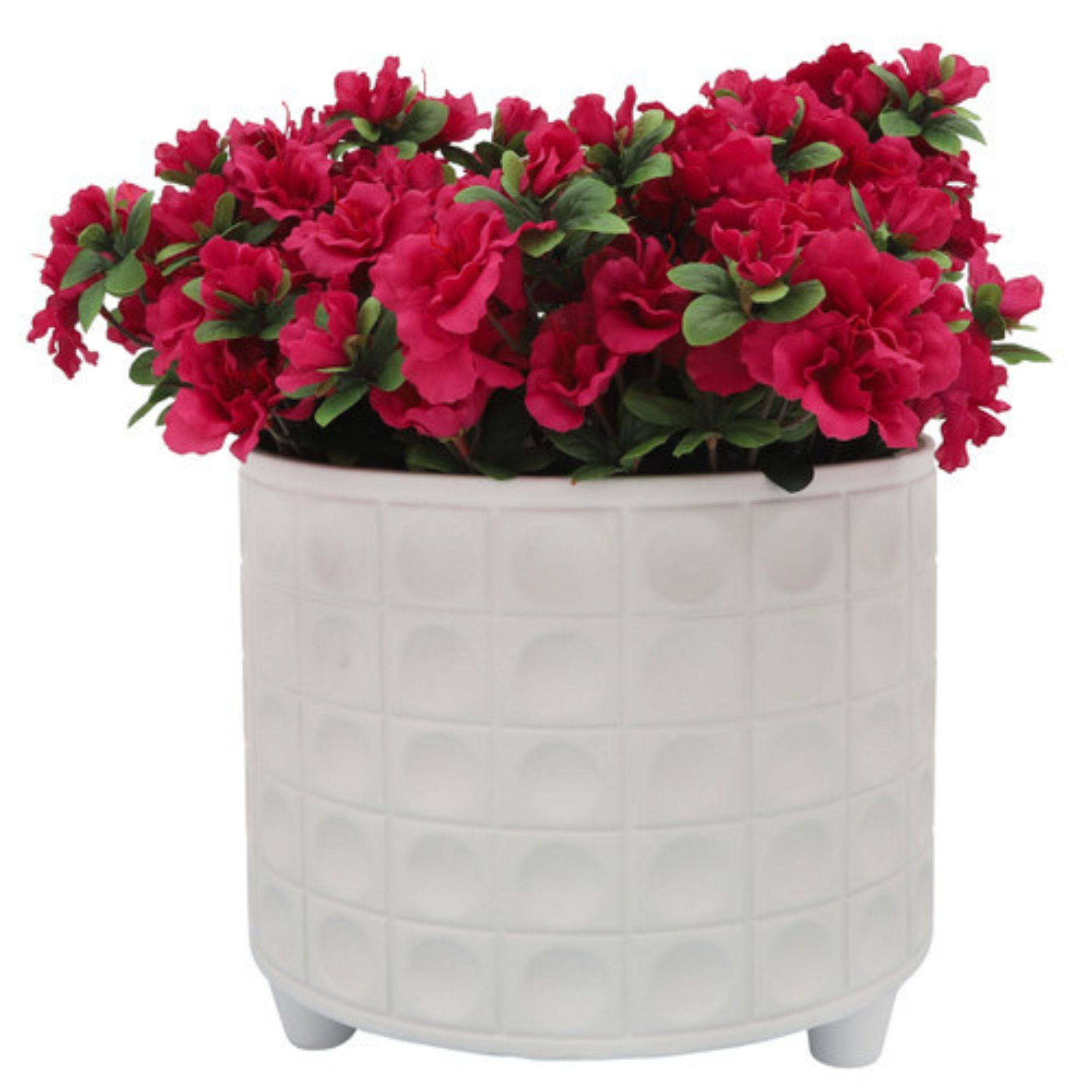 Hammered Footed Planter 25 - 30 Cm - White 16714-01 - Planter Boxes - ebarza Furniture UAE | Shop Modern Furniture in Abu Dhabi & Dubai - مفروشات ايبازرا في الامارات | تسوق اثاث عصري وديكورات مميزة في دبي وابوظبي