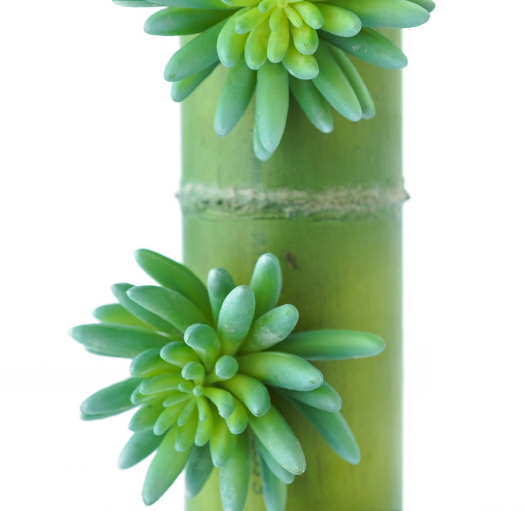 Handmade Decorative Artificial Bamboo Pendant Plant N36020-BJ104 - Plants - ebarza Furniture UAE | Shop Modern Furniture in Abu Dhabi & Dubai - مفروشات ايبازرا في الامارات | تسوق اثاث عصري وديكورات مميزة في دبي وابوظبي