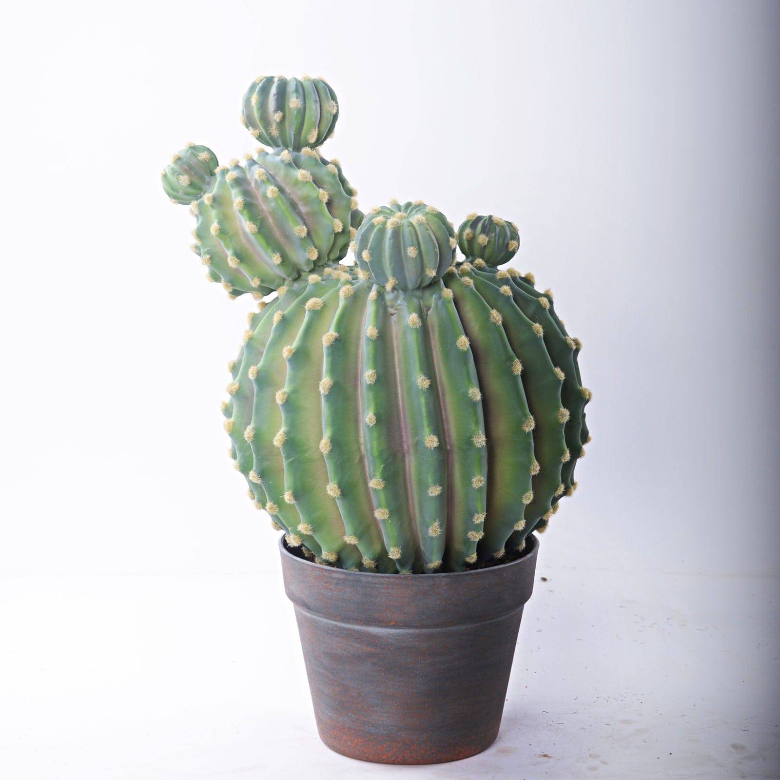 Handmade Decorative Artificial Cactus N35020-Sm097 - Plants - ebarza Furniture UAE | Shop Modern Furniture in Abu Dhabi & Dubai - مفروشات ايبازرا في الامارات | تسوق اثاث عصري وديكورات مميزة في دبي وابوظبي
