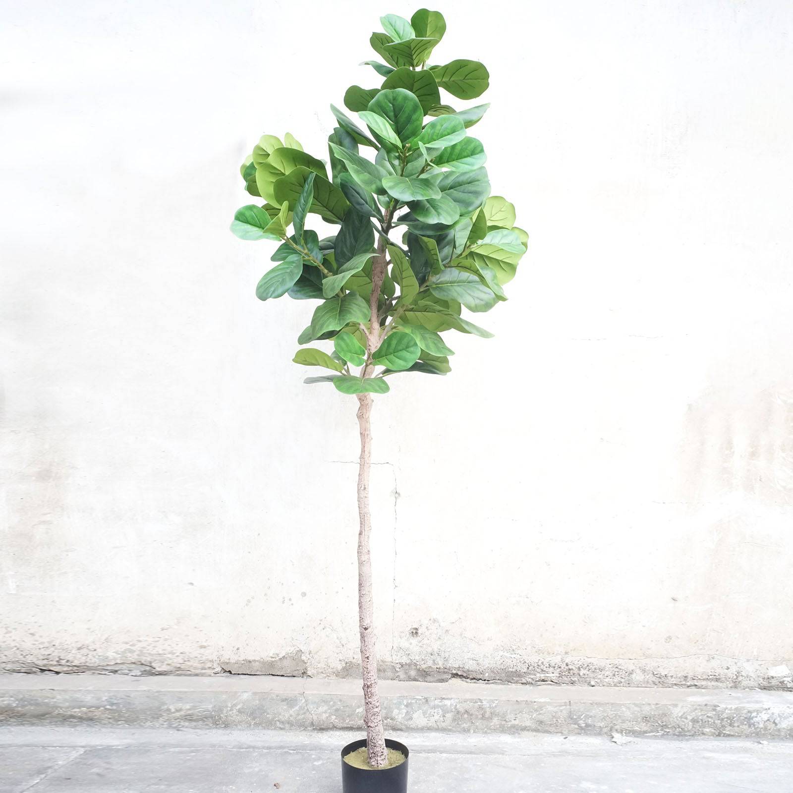 Handmade Decorative Artificial Fiddle Of Fig Tree Fh-04 - Plants - ebarza Furniture UAE | Shop Modern Furniture in Abu Dhabi & Dubai - مفروشات ايبازرا في الامارات | تسوق اثاث عصري وديكورات مميزة في دبي وابوظبي