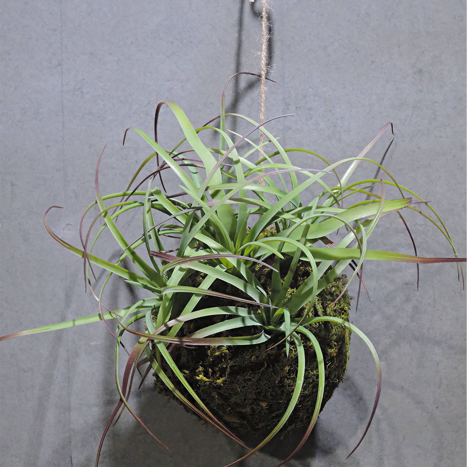 Handmade Decorative Artificial Plant Ah3151 - Plants - ebarza Furniture UAE | Shop Modern Furniture in Abu Dhabi & Dubai - مفروشات ايبازرا في الامارات | تسوق اثاث عصري وديكورات مميزة في دبي وابوظبي