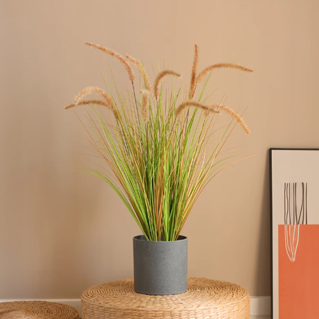 Handmade Decorative Artificial Plant - CF-BEGR-7312 - Home Accessories - ebarza Furniture UAE | Shop Modern Furniture in Abu Dhabi & Dubai - مفروشات ايبازرا في الامارات | تسوق اثاث عصري وديكورات مميزة في دبي وابوظبي