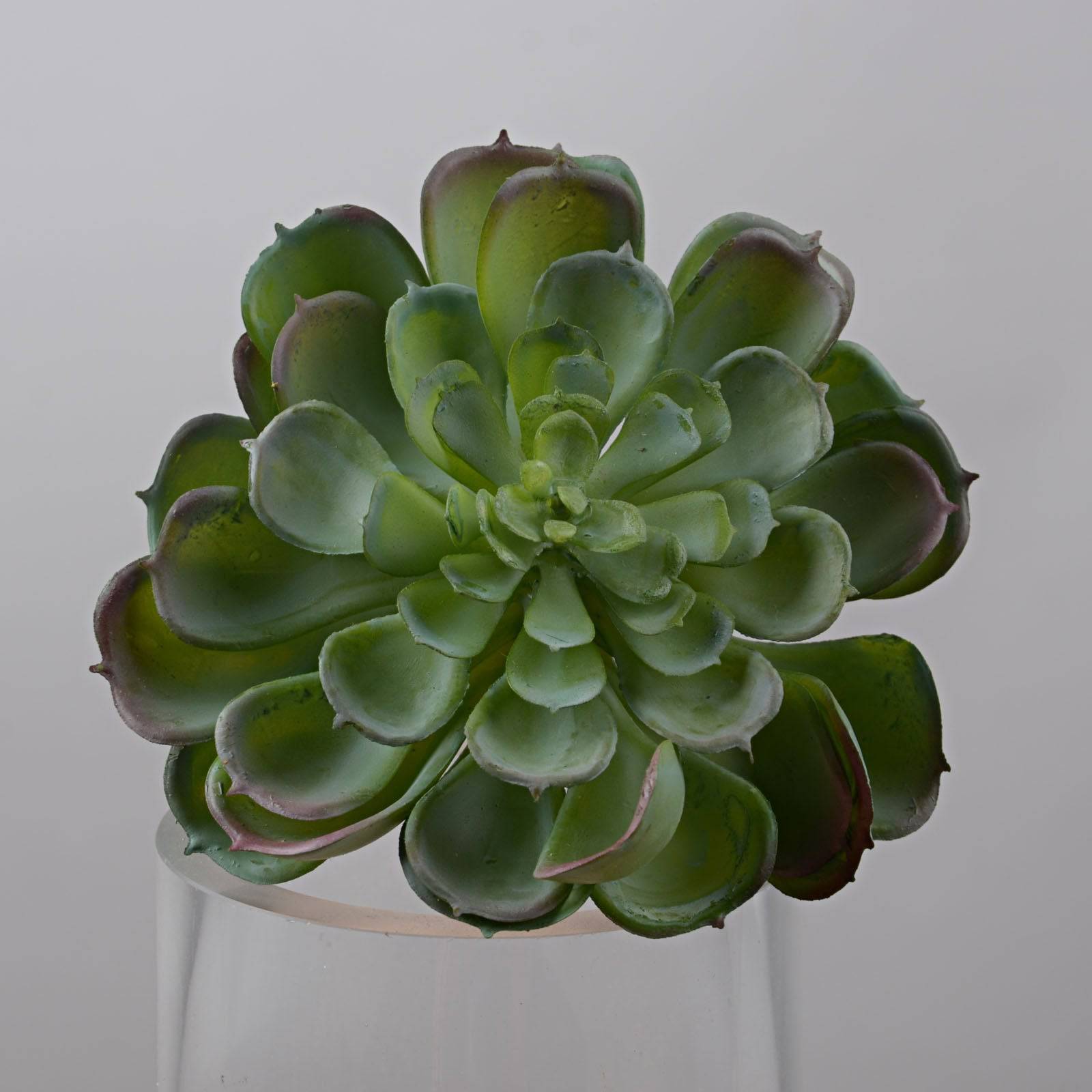 Handmade Decorative Artificial Plant Dgyl-Nh932-De/Gr - Plants - ebarza Furniture UAE | Shop Modern Furniture in Abu Dhabi & Dubai - مفروشات ايبازرا في الامارات | تسوق اثاث عصري وديكورات مميزة في دبي وابوظبي