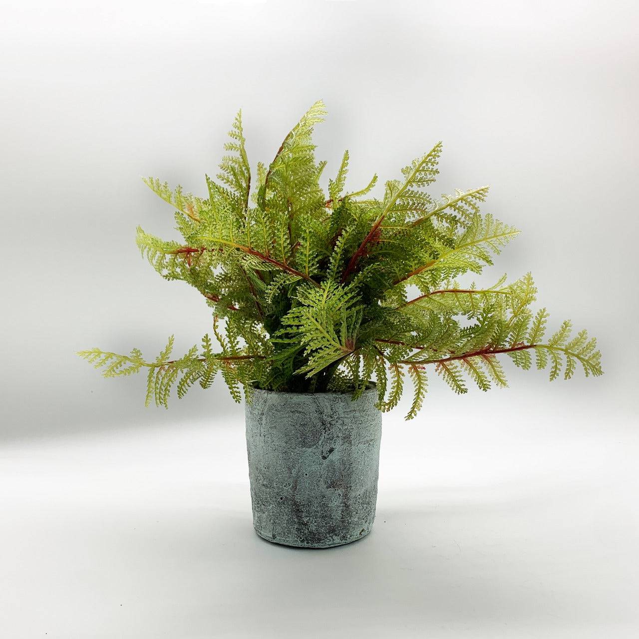 Handmade Decorative Artificial Plant Dgz 002 K32 - Plants - ebarza Furniture UAE | Shop Modern Furniture in Abu Dhabi & Dubai - مفروشات ايبازرا في الامارات | تسوق اثاث عصري وديكورات مميزة في دبي وابوظبي