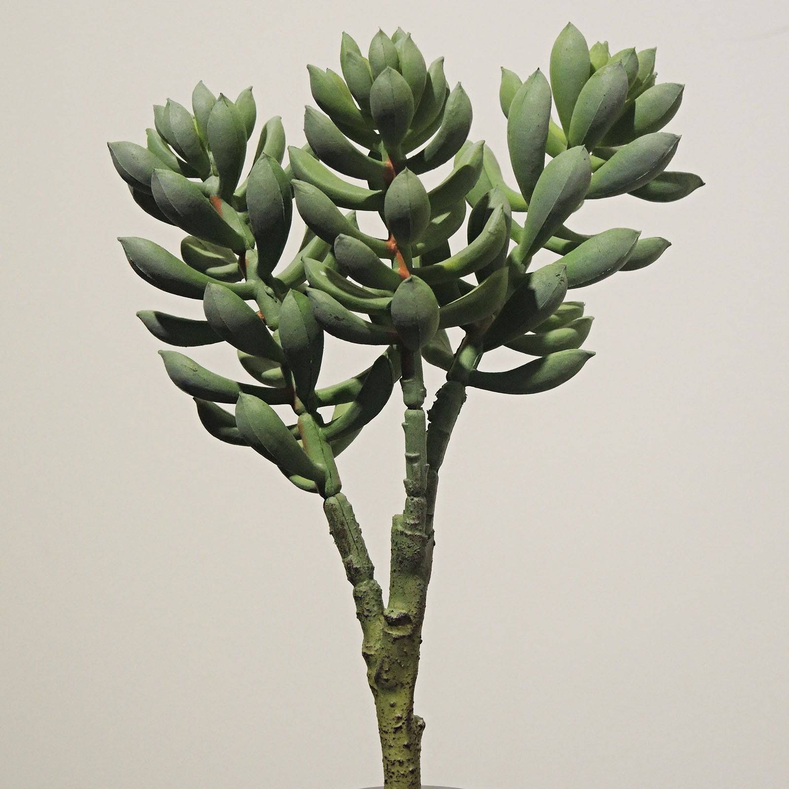 Handmade Decorative Artificial Plant Dgz-20-601-F3-Be/Gr - Plants - ebarza Furniture UAE | Shop Modern Furniture in Abu Dhabi & Dubai - مفروشات ايبازرا في الامارات | تسوق اثاث عصري وديكورات مميزة في دبي وابوظبي