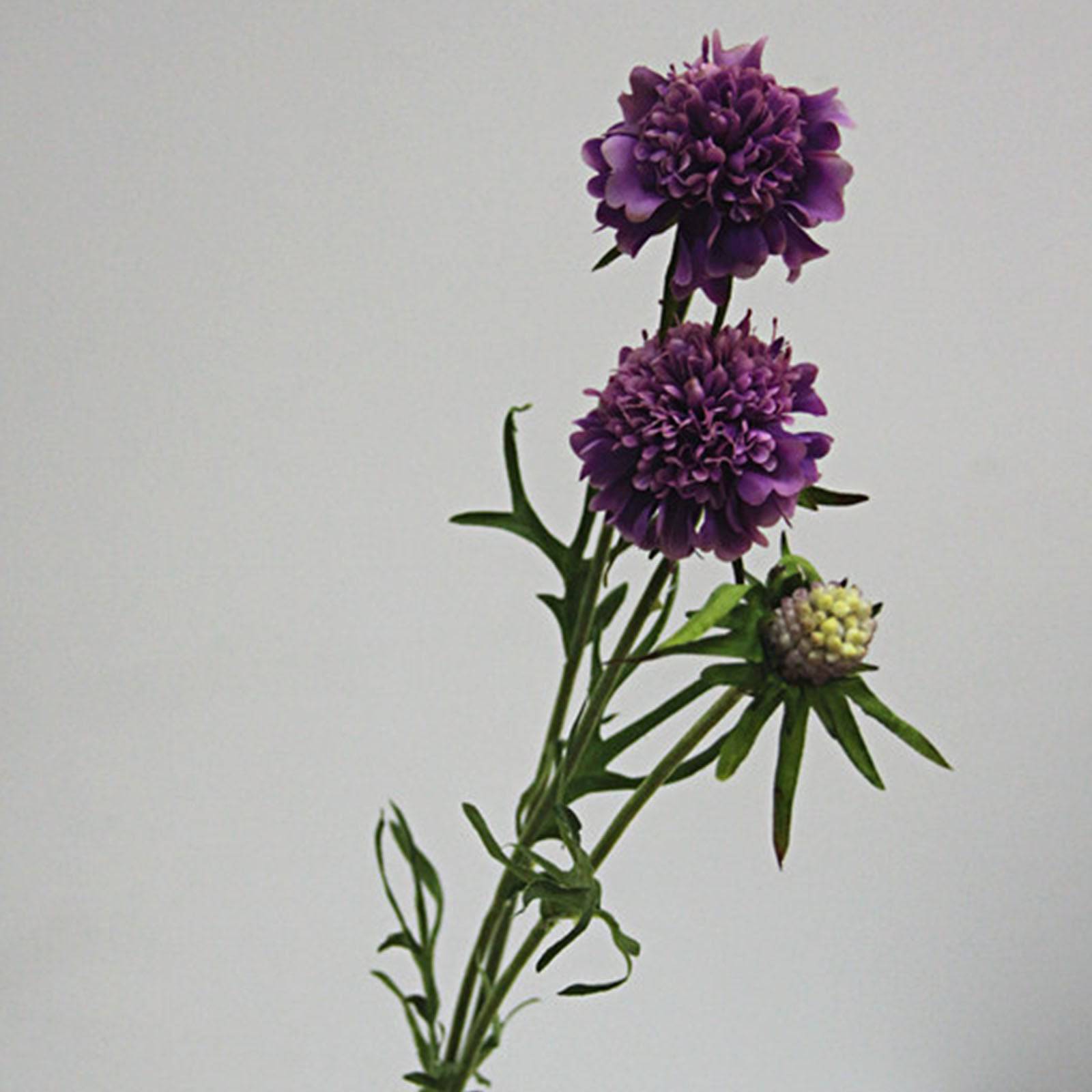 Handmade Decorative Artificial Plant Hyp-Hy6404-De/Pu - Plants - ebarza Furniture UAE | Shop Modern Furniture in Abu Dhabi & Dubai - مفروشات ايبازرا في الامارات | تسوق اثاث عصري وديكورات مميزة في دبي وابوظبي