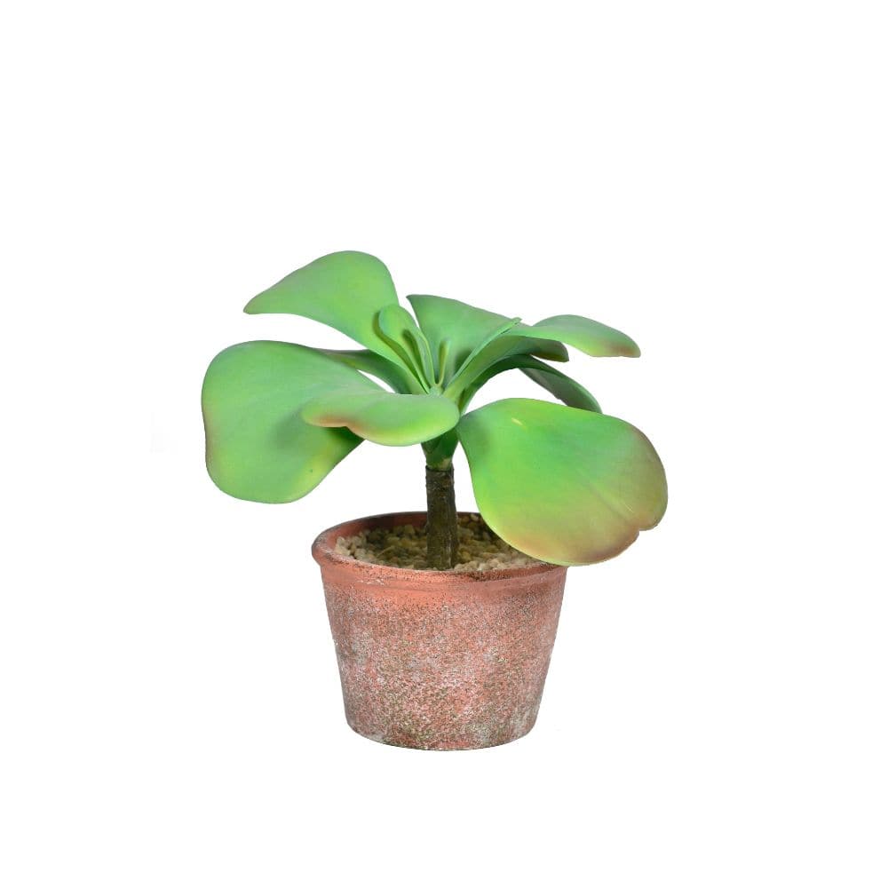Handmade Decorative Artificial Plant N35020-Pz125 - Plants - ebarza Furniture UAE | Shop Modern Furniture in Abu Dhabi & Dubai - مفروشات ايبازرا في الامارات | تسوق اثاث عصري وديكورات مميزة في دبي وابوظبي