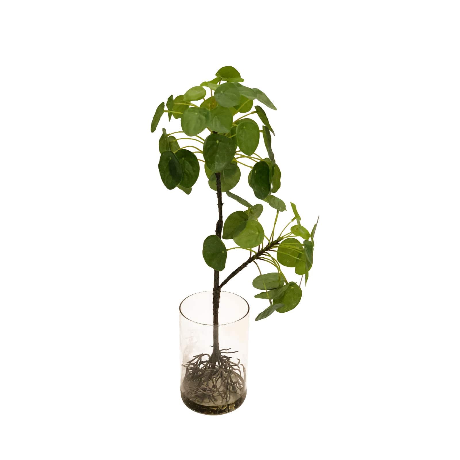 Handmade Decorative Artificial Plant N36020-Bj158 - Plants - ebarza Furniture UAE | Shop Modern Furniture in Abu Dhabi & Dubai - مفروشات ايبازرا في الامارات | تسوق اثاث عصري وديكورات مميزة في دبي وابوظبي