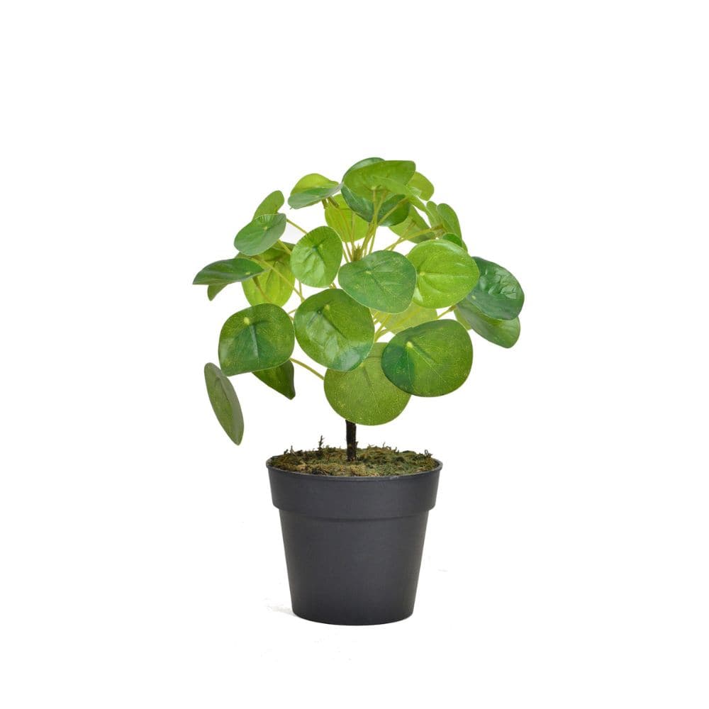 Handmade Decorative Artificial Plant N36020-Pz055 - Plants - ebarza Furniture UAE | Shop Modern Furniture in Abu Dhabi & Dubai - مفروشات ايبازرا في الامارات | تسوق اثاث عصري وديكورات مميزة في دبي وابوظبي