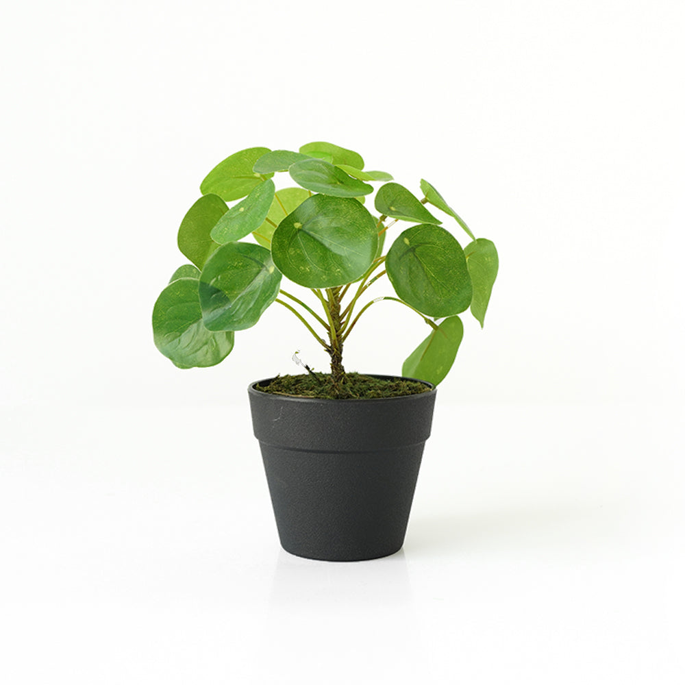 Handmade Decorative Artificial Plant N36020-PZ156 - Plants - ebarza Furniture UAE | Shop Modern Furniture in Abu Dhabi & Dubai - مفروشات ايبازرا في الامارات | تسوق اثاث عصري وديكورات مميزة في دبي وابوظبي