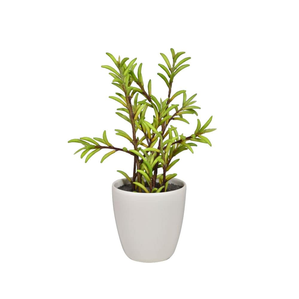 Handmade Decorative Artificial Plant N38120-Pz002 - Plants - ebarza Furniture UAE | Shop Modern Furniture in Abu Dhabi & Dubai - مفروشات ايبازرا في الامارات | تسوق اثاث عصري وديكورات مميزة في دبي وابوظبي