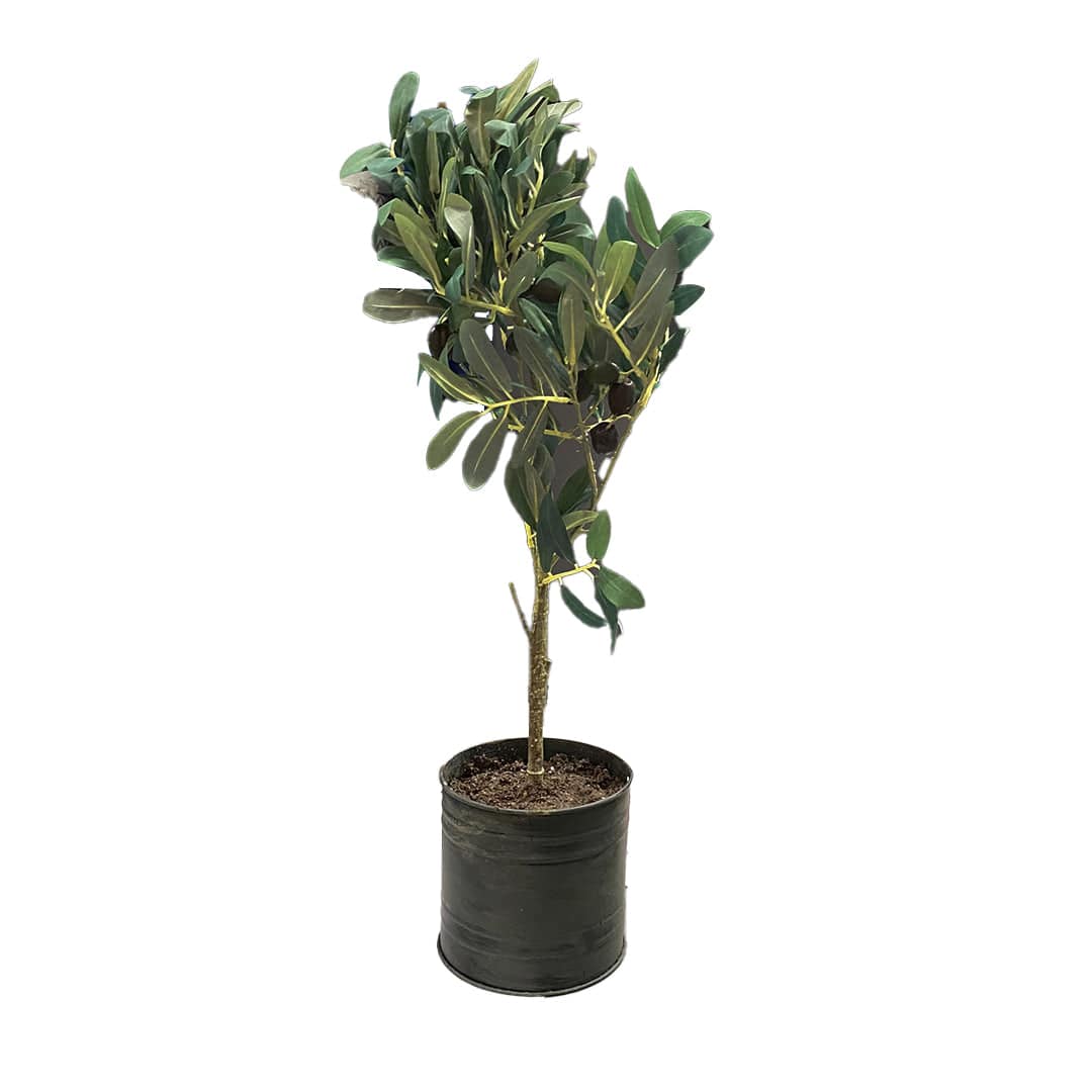 Handmade Decorative Artificial Plant N38420-Pz006 - Plants - ebarza Furniture UAE | Shop Modern Furniture in Abu Dhabi & Dubai - مفروشات ايبازرا في الامارات | تسوق اثاث عصري وديكورات مميزة في دبي وابوظبي