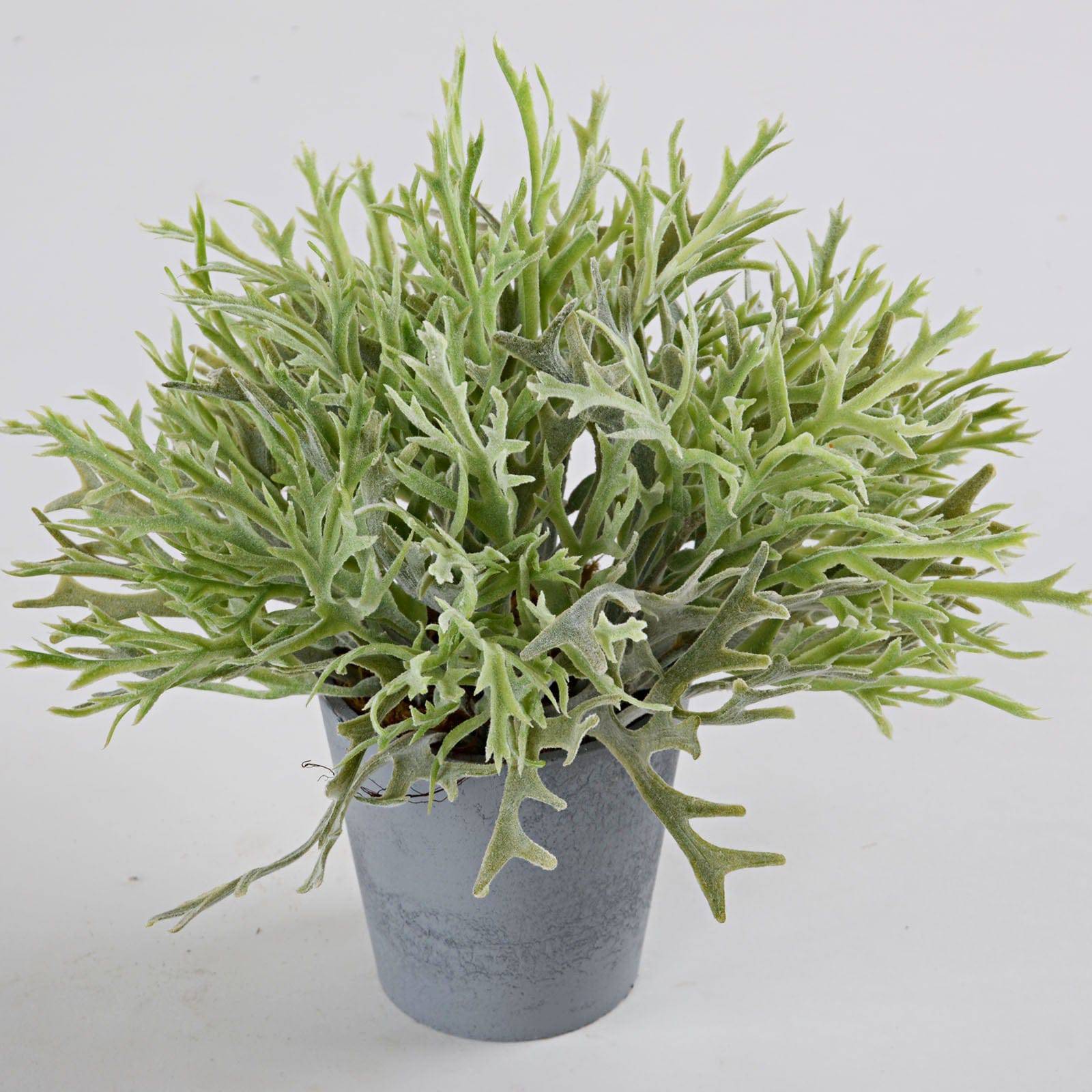 Handmade Decorative Artificial Plant Sh16-034 - Plants - ebarza Furniture UAE | Shop Modern Furniture in Abu Dhabi & Dubai - مفروشات ايبازرا في الامارات | تسوق اثاث عصري وديكورات مميزة في دبي وابوظبي