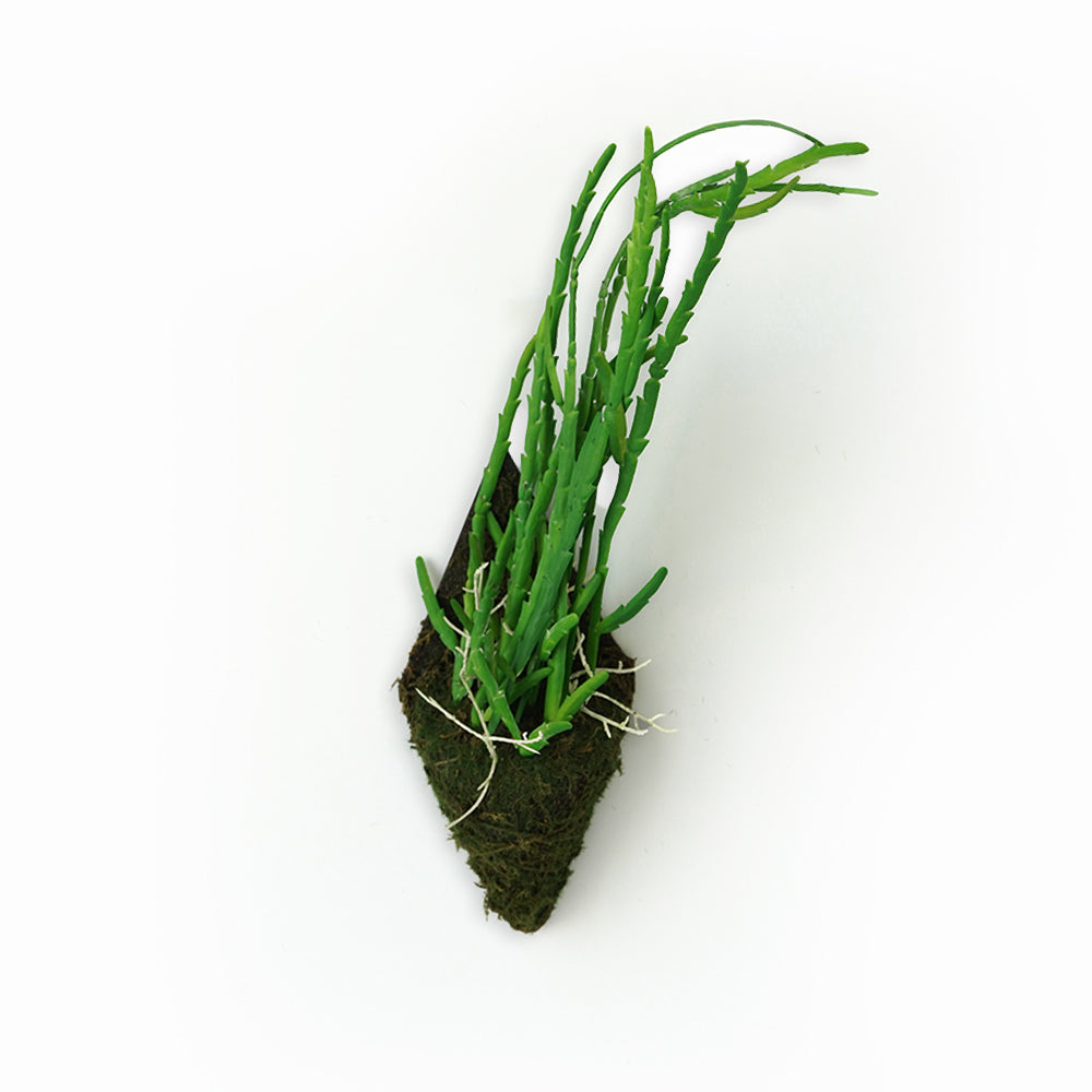 Handmade Decorative Artificial Plant Wall N36020-XG166 - Plants - ebarza Furniture UAE | Shop Modern Furniture in Abu Dhabi & Dubai - مفروشات ايبازرا في الامارات | تسوق اثاث عصري وديكورات مميزة في دبي وابوظبي