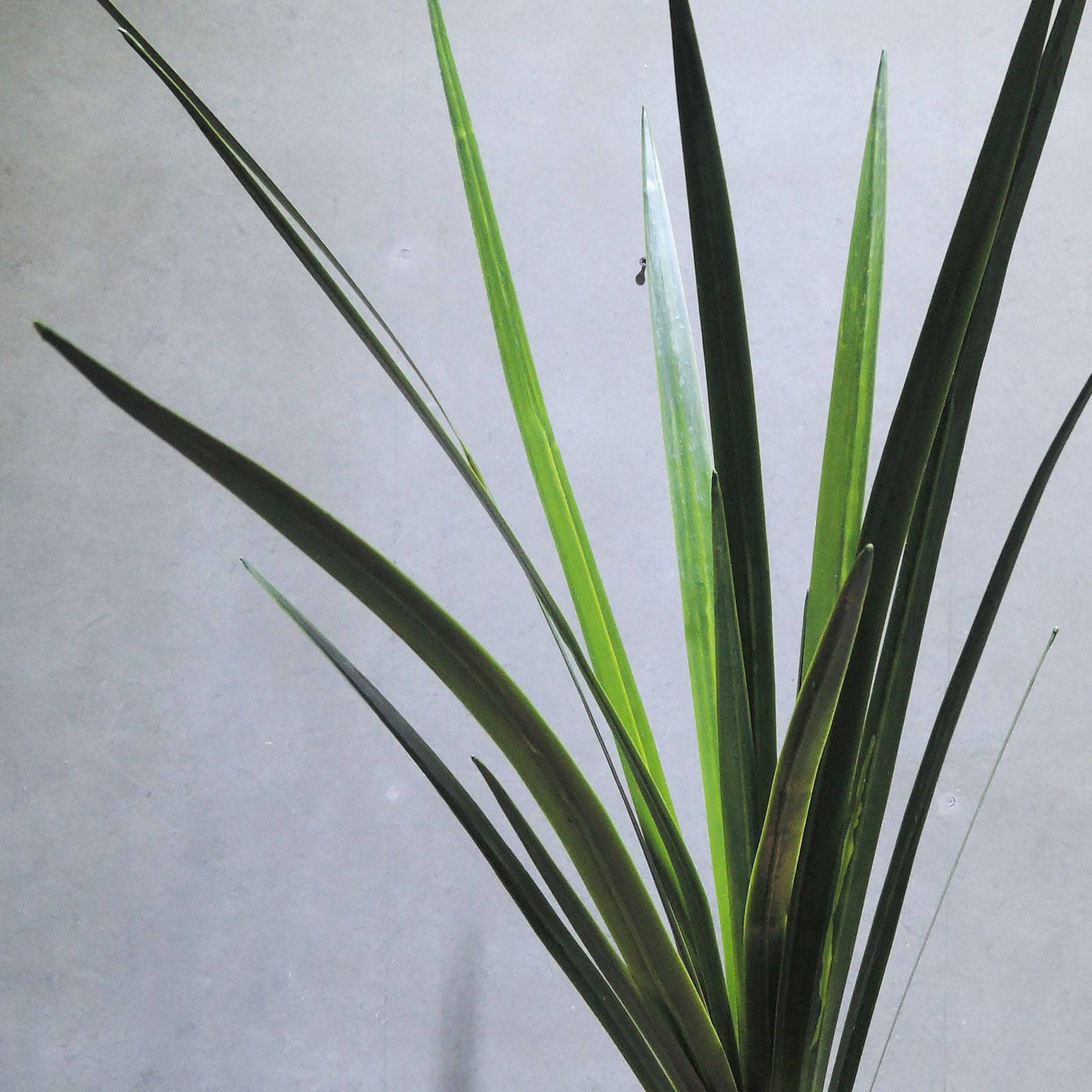 Handmade Decorative Artificial Plant Xmxjp-Xf0011L - Plants - ebarza Furniture UAE | Shop Modern Furniture in Abu Dhabi & Dubai - مفروشات ايبازرا في الامارات | تسوق اثاث عصري وديكورات مميزة في دبي وابوظبي