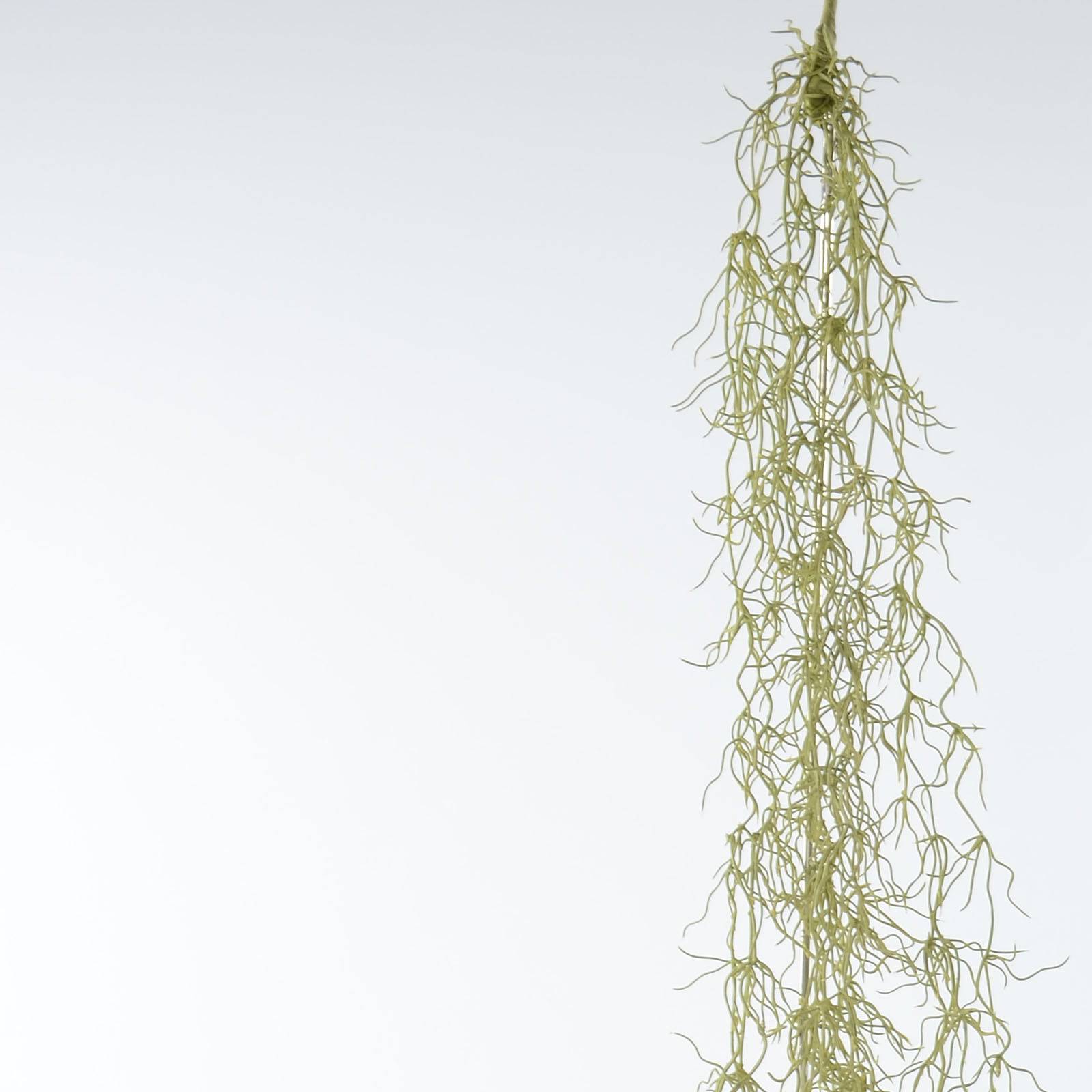 Handmade Decorative Artificial Plant Xmxjsd-Xa749-Wh - Plants - ebarza Furniture UAE | Shop Modern Furniture in Abu Dhabi & Dubai - مفروشات ايبازرا في الامارات | تسوق اثاث عصري وديكورات مميزة في دبي وابوظبي