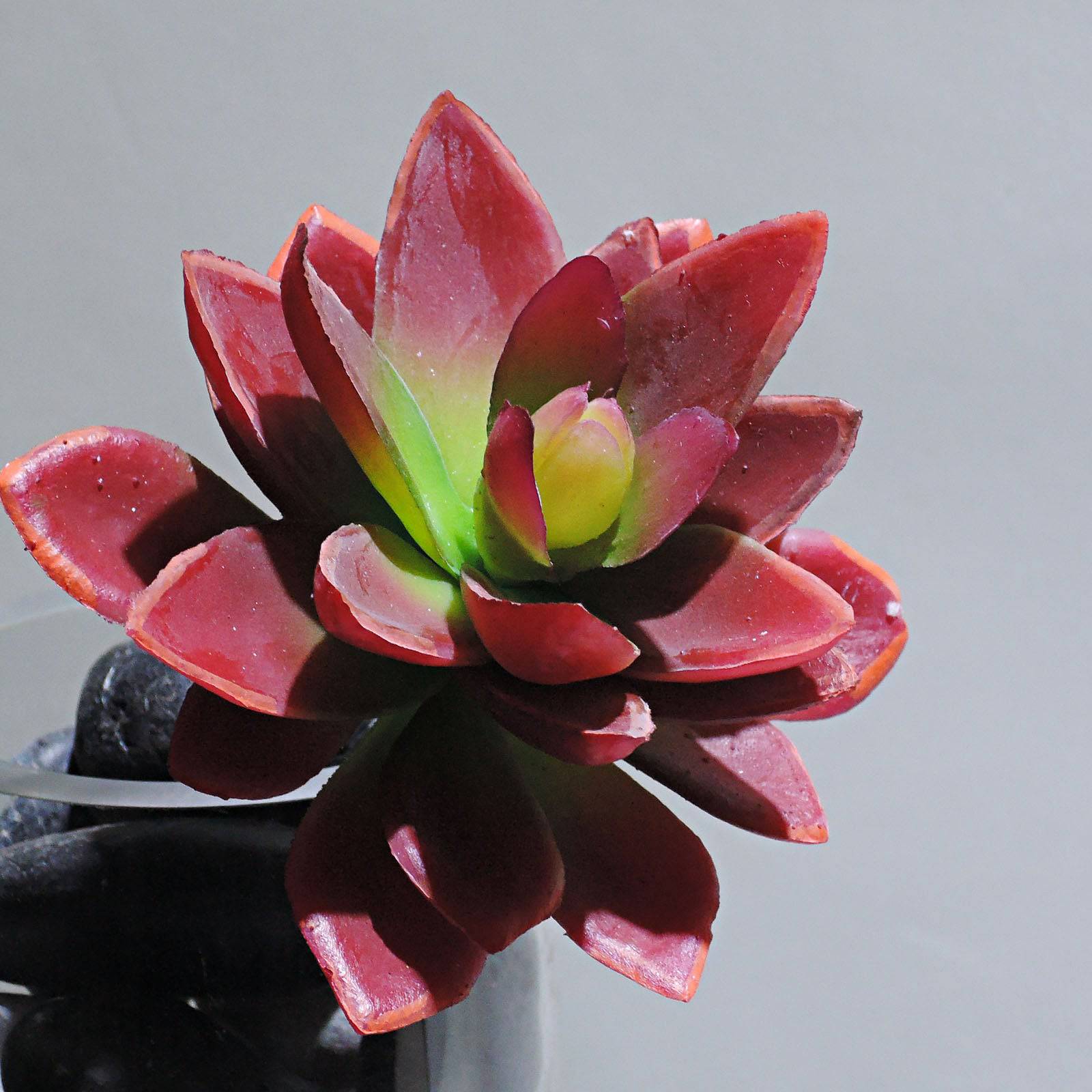 Handmade Decorative Artificial Plant Xmymh-F-107-Re/Gr - Plants - ebarza Furniture UAE | Shop Modern Furniture in Abu Dhabi & Dubai - مفروشات ايبازرا في الامارات | تسوق اثاث عصري وديكورات مميزة في دبي وابوظبي