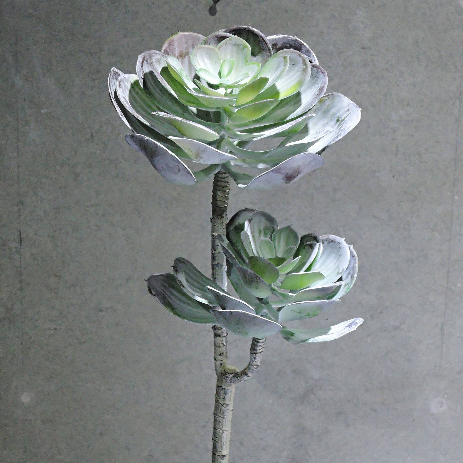 Handmade Decorative Artificial Plant Yf16Sd-13680 - Plants - ebarza Furniture UAE | Shop Modern Furniture in Abu Dhabi & Dubai - مفروشات ايبازرا في الامارات | تسوق اثاث عصري وديكورات مميزة في دبي وابوظبي