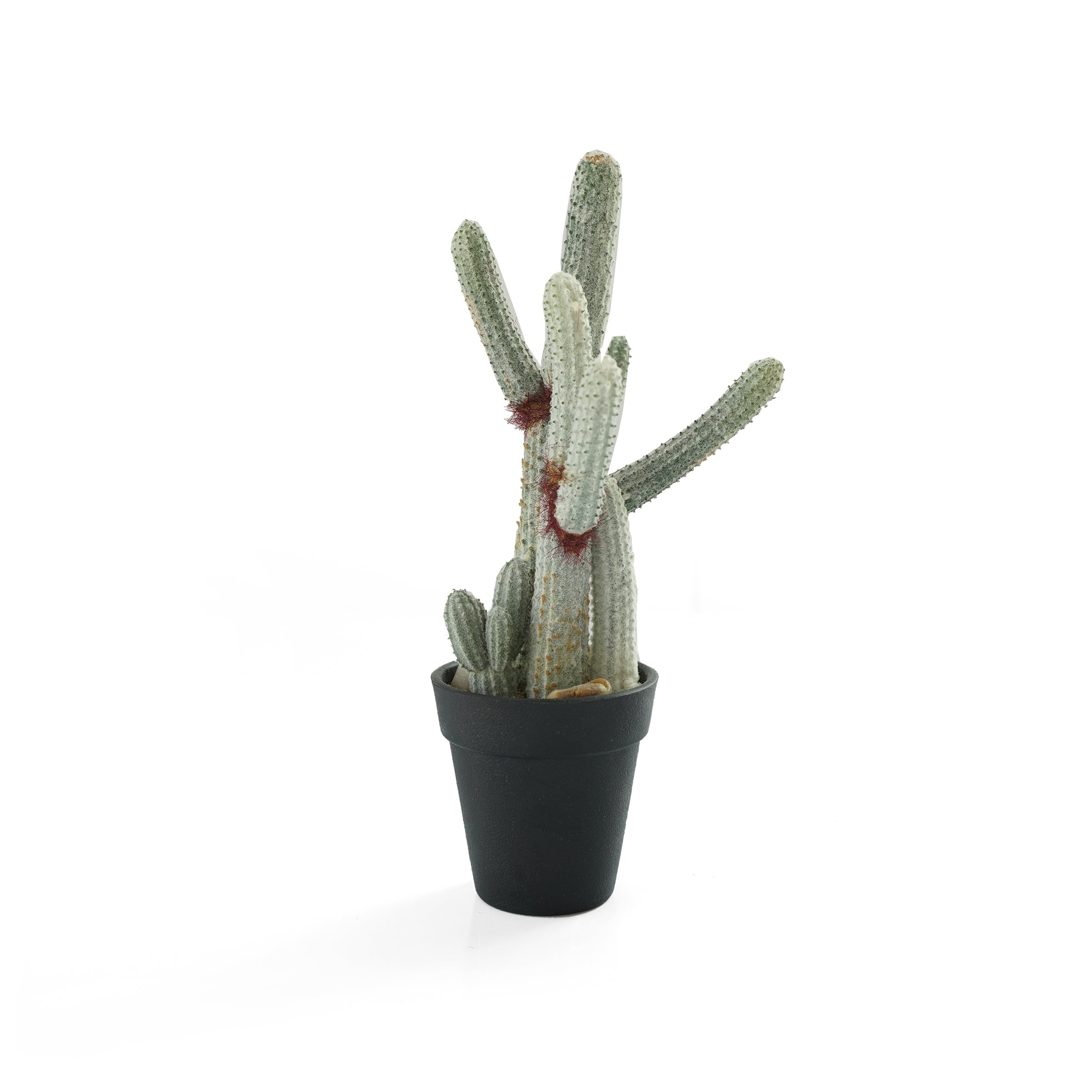 Handmade Decorative Artificial Potted Cactus N35020-SM121 - Plants - ebarza Furniture UAE | Shop Modern Furniture in Abu Dhabi & Dubai - مفروشات ايبازرا في الامارات | تسوق اثاث عصري وديكورات مميزة في دبي وابوظبي