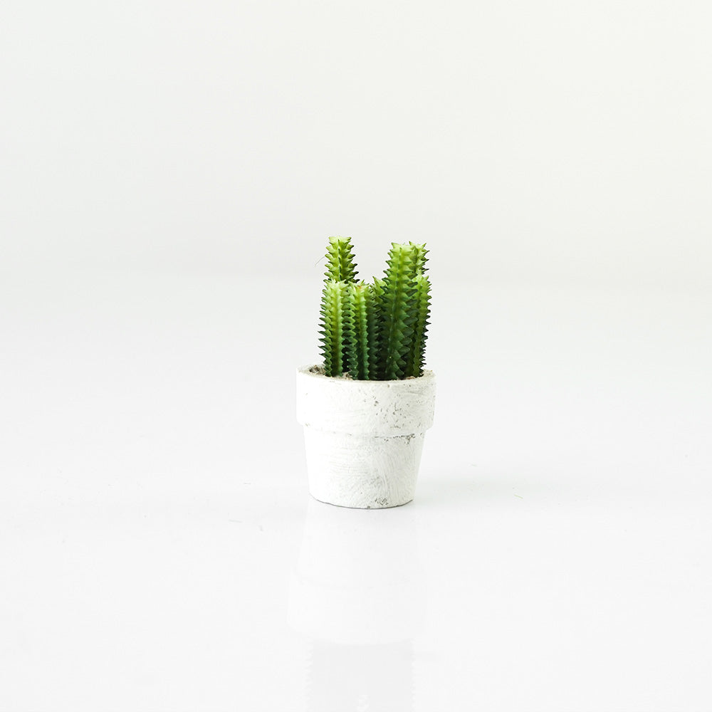 Handmade Decorative Artificial Potted Cactus N35020-SM157 - Plants - ebarza Furniture UAE | Shop Modern Furniture in Abu Dhabi & Dubai - مفروشات ايبازرا في الامارات | تسوق اثاث عصري وديكورات مميزة في دبي وابوظبي