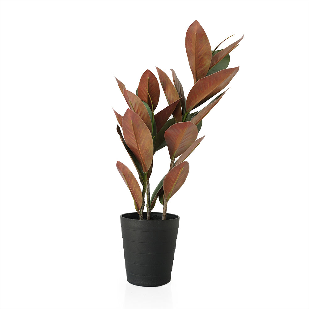 Handmade Decorative Artificial Potted Magnolia Plant N37220-PZ003 - Plants - ebarza Furniture UAE | Shop Modern Furniture in Abu Dhabi & Dubai - مفروشات ايبازرا في الامارات | تسوق اثاث عصري وديكورات مميزة في دبي وابوظبي