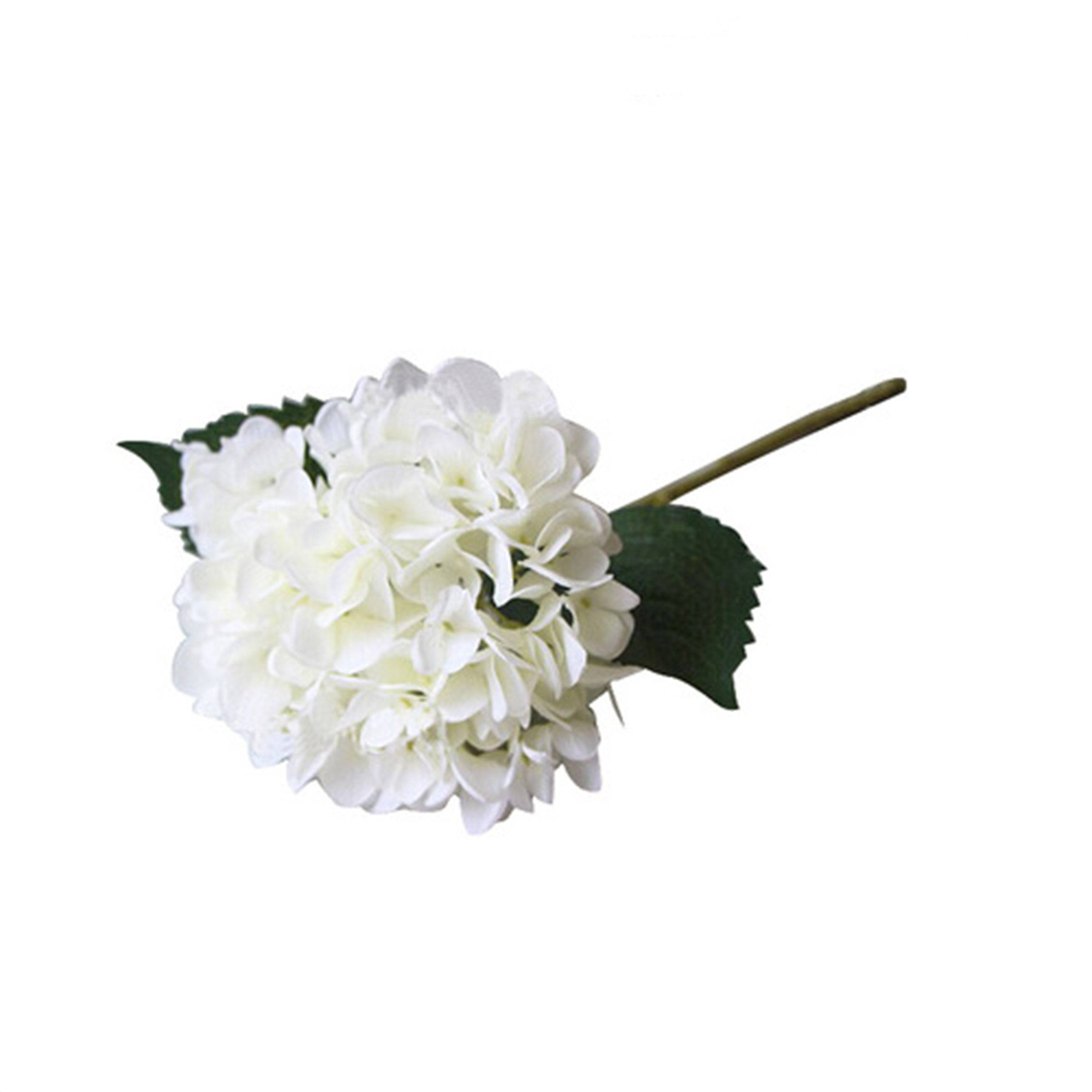 Real Touch Hydrangea Stem - White Fl-Jh187 - Plants - ebarza Furniture UAE | Shop Modern Furniture in Abu Dhabi & Dubai - مفروشات ايبازرا في الامارات | تسوق اثاث عصري وديكورات مميزة في دبي وابوظبي