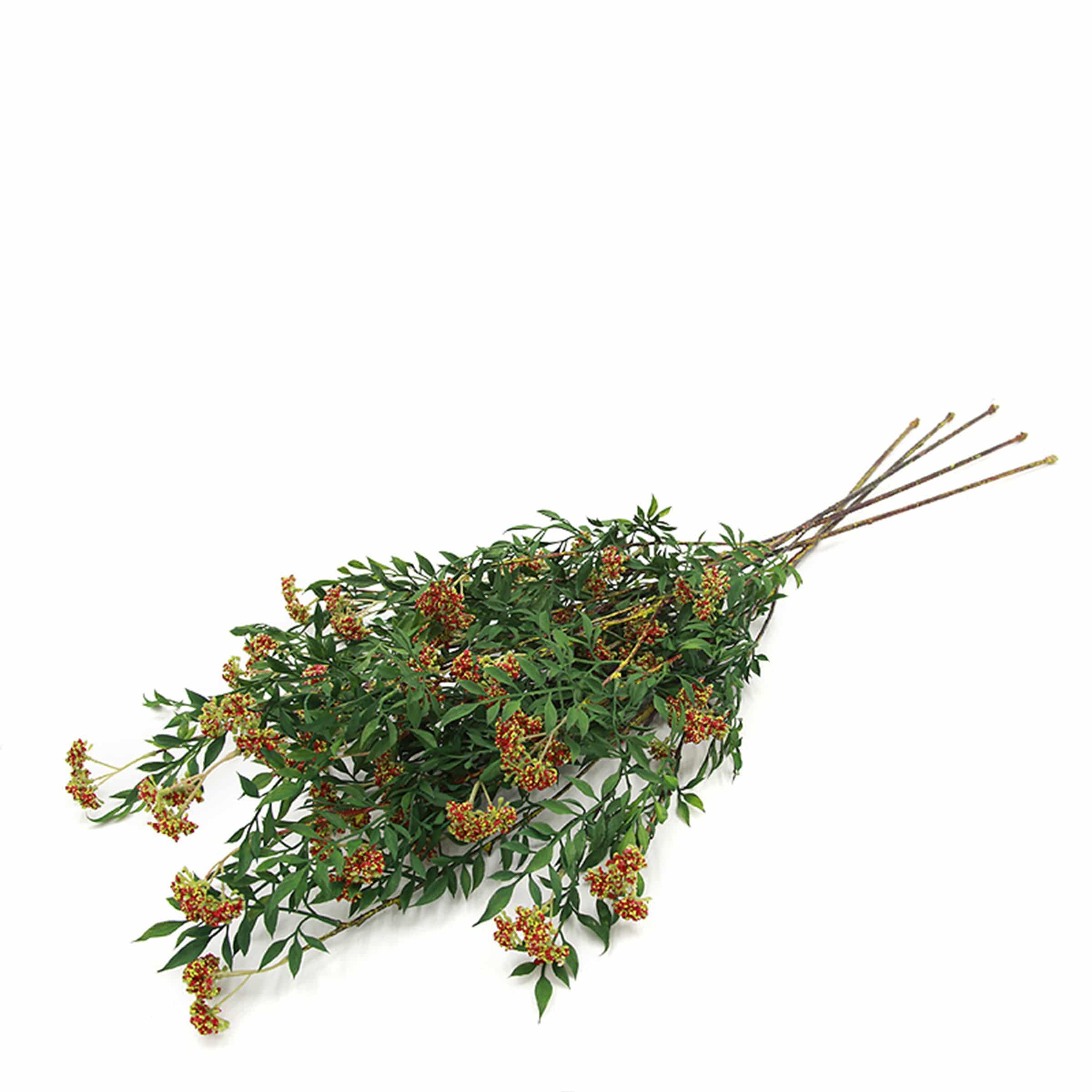 Real Touch Ramulus Mori -Red Fl-Jh173 - Plants - ebarza Furniture UAE | Shop Modern Furniture in Abu Dhabi & Dubai - مفروشات ايبازرا في الامارات | تسوق اثاث عصري وديكورات مميزة في دبي وابوظبي